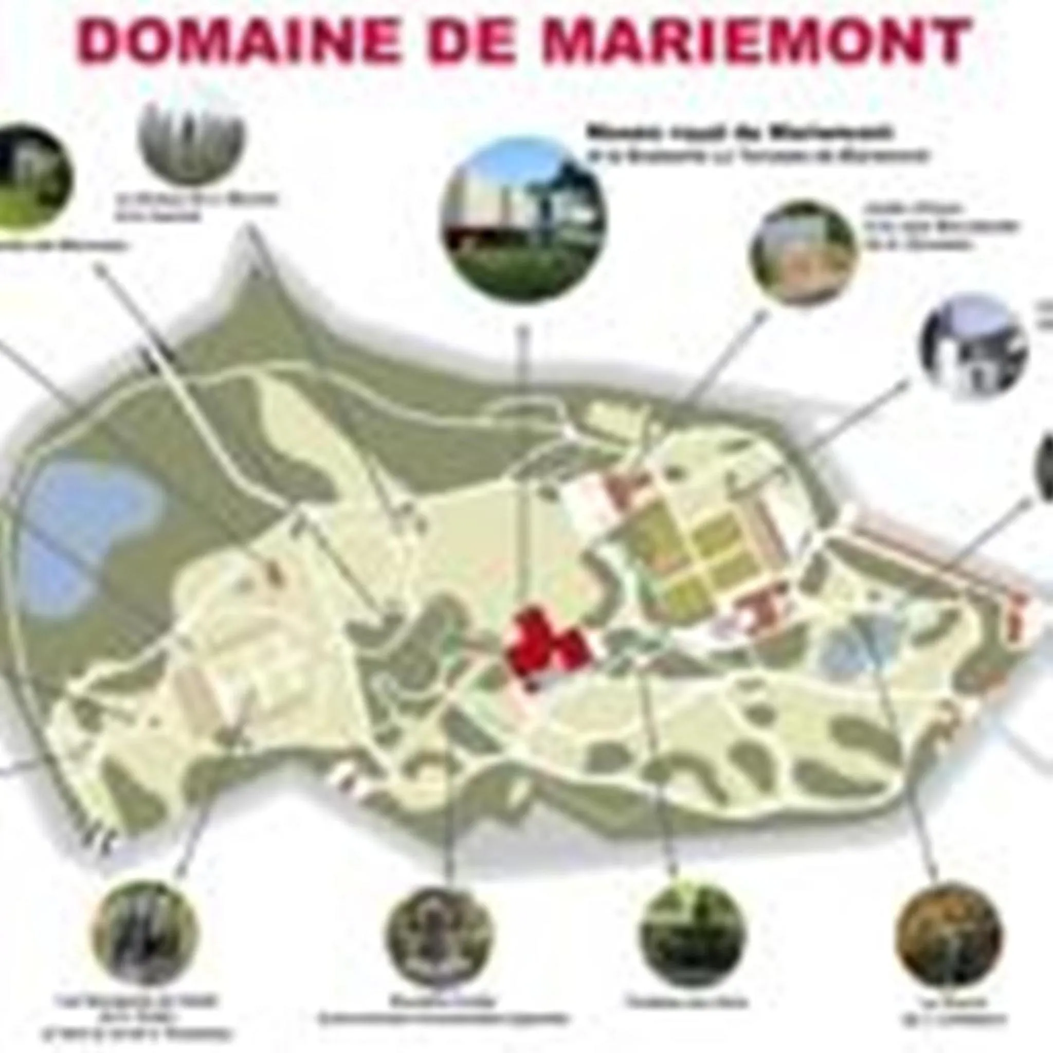 Text overlay in Le New Matinal