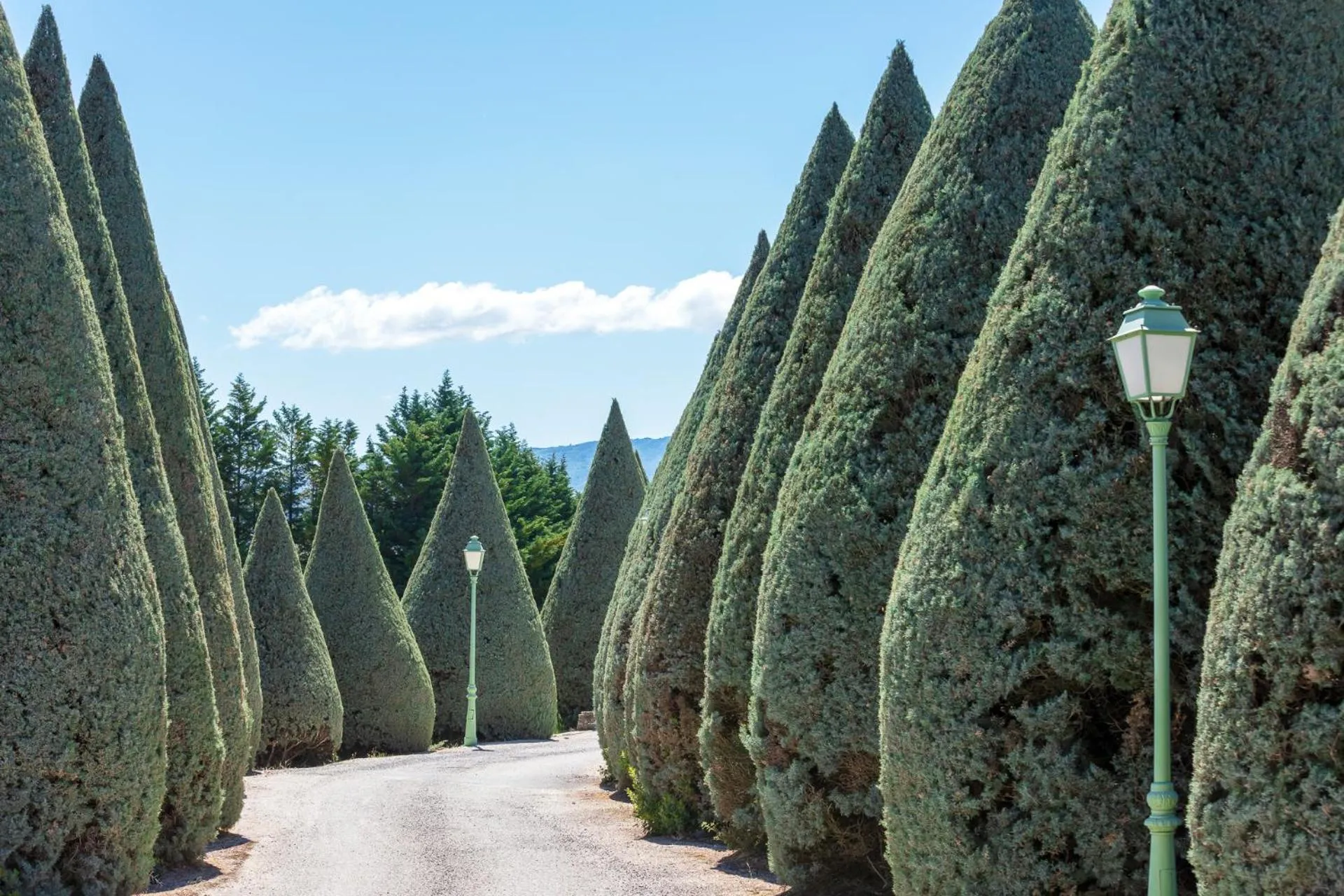 Facade/entrance in Hôtel Carcarille Restaurant Le C