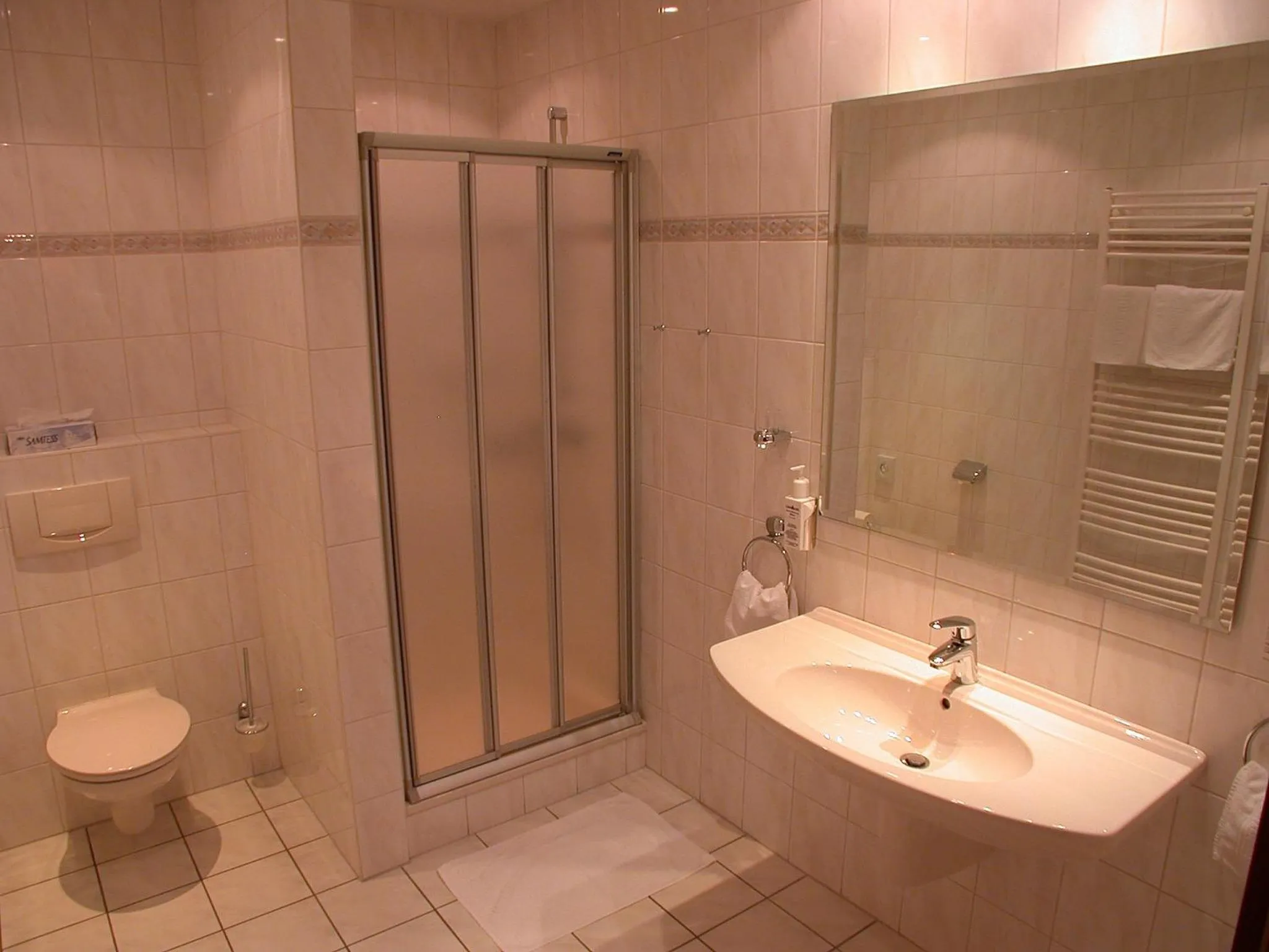 Bathroom in Hotel Goos