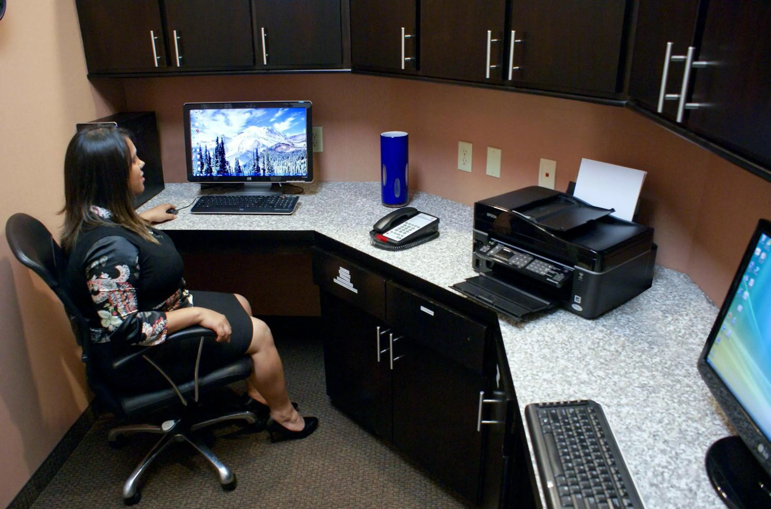 Business facilities in Hampton Inn Orange