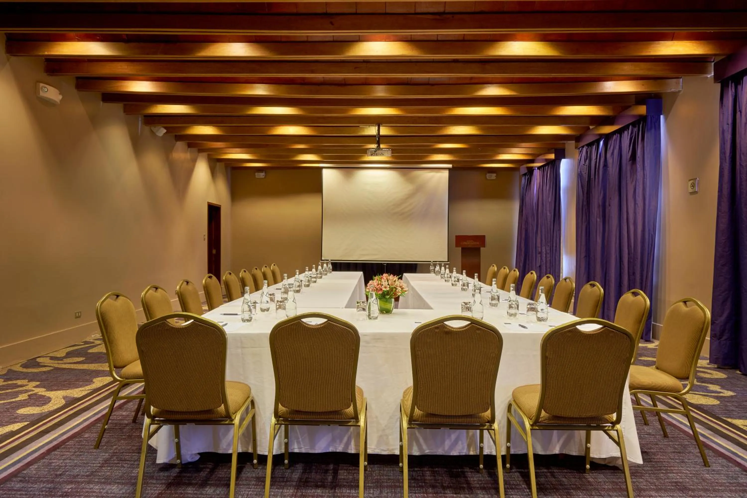 Meeting/conference room in Costa del Sol Trujillo Centro