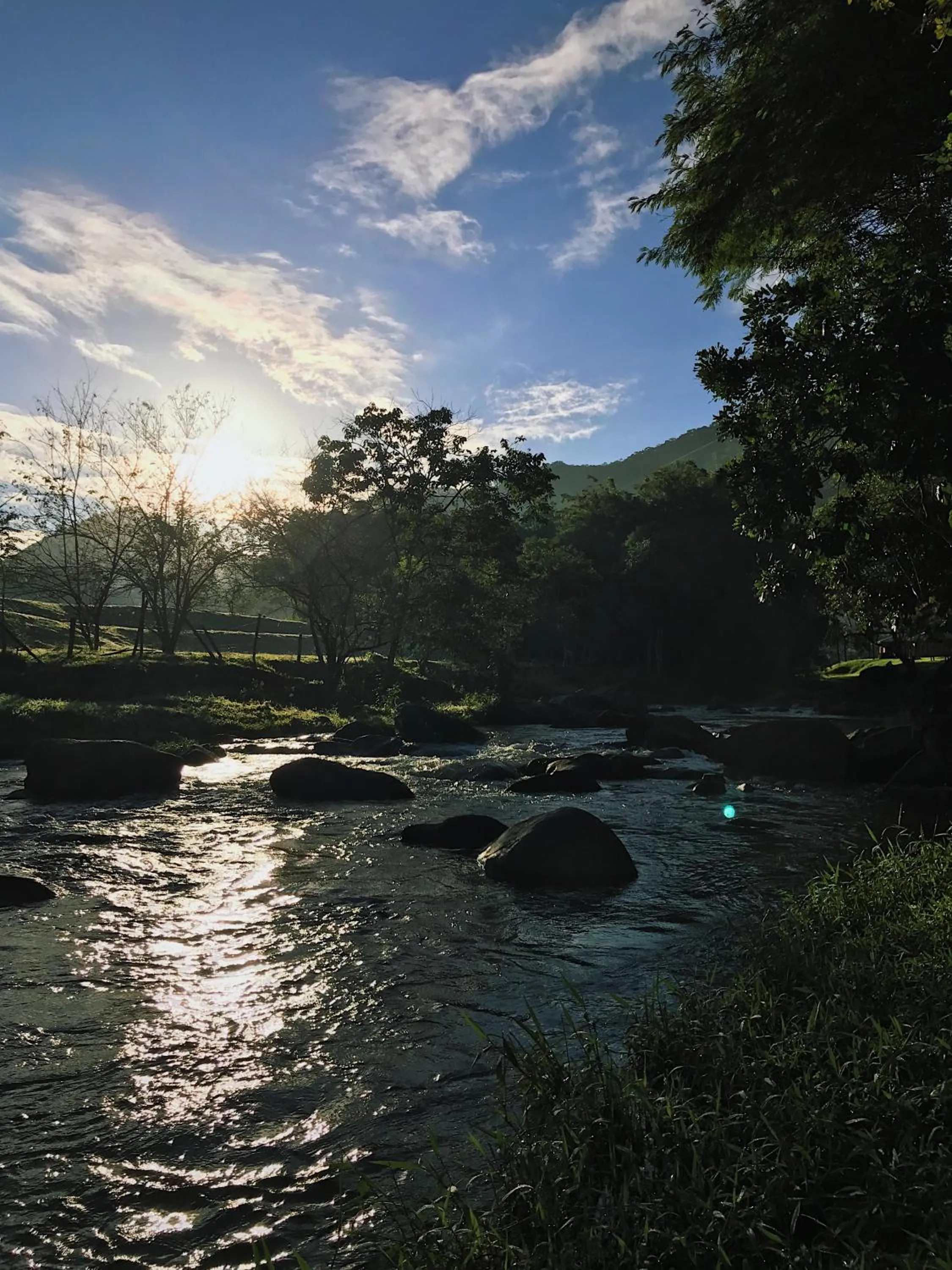Natural landscape in Hotel Pousada Bambuzal