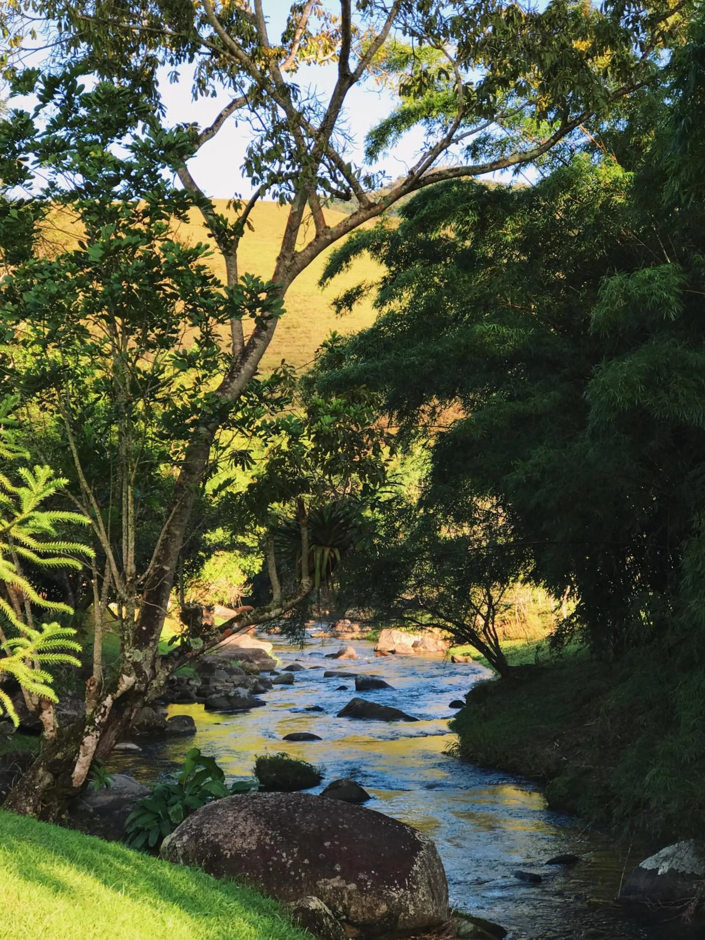 Natural landscape in Hotel Pousada Bambuzal