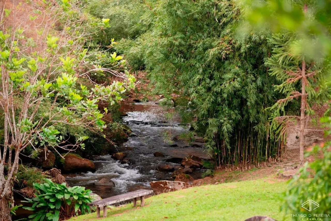 Natural landscape in Hotel Pousada Bambuzal