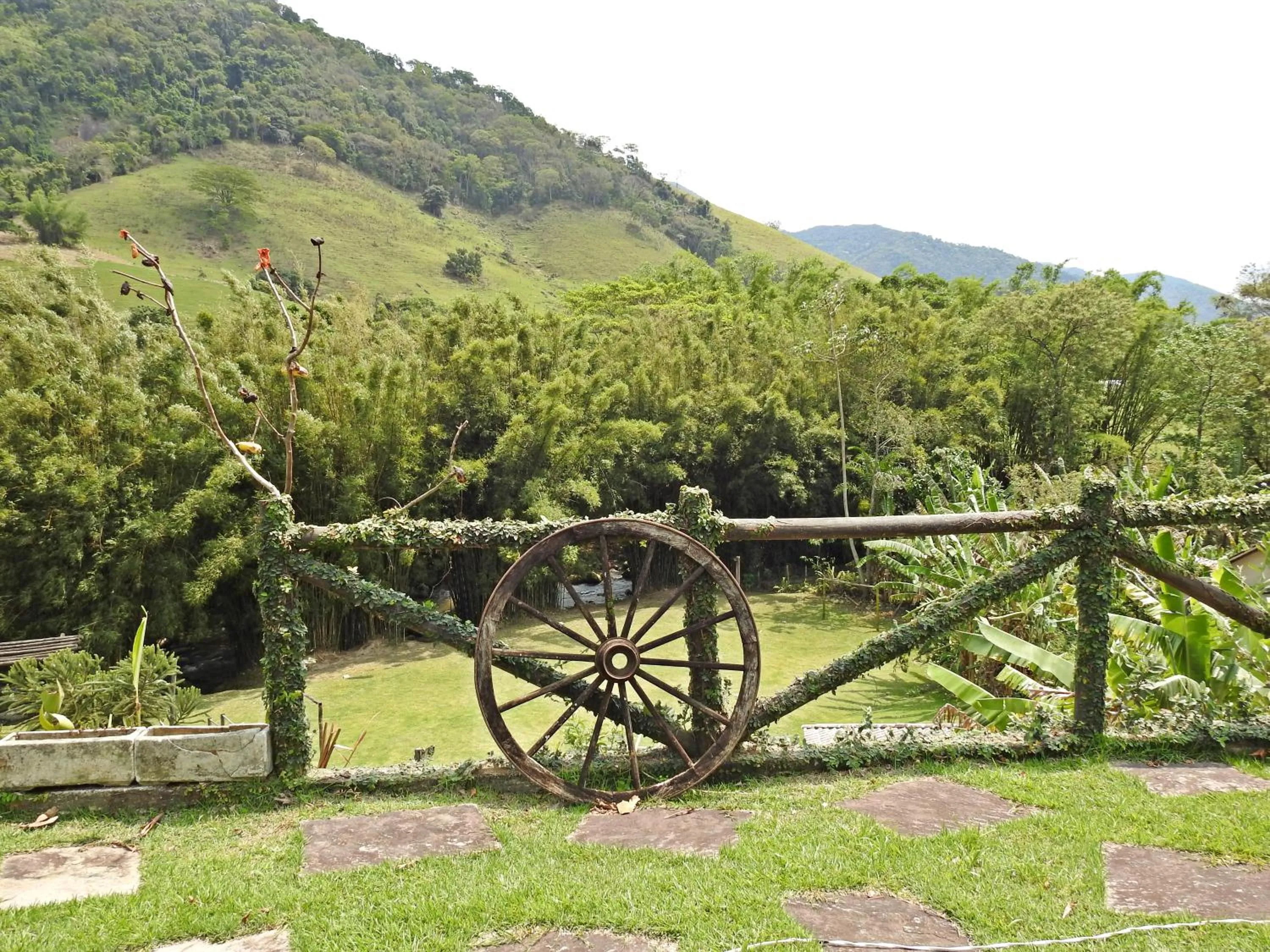 Natural landscape in Hotel Pousada Bambuzal