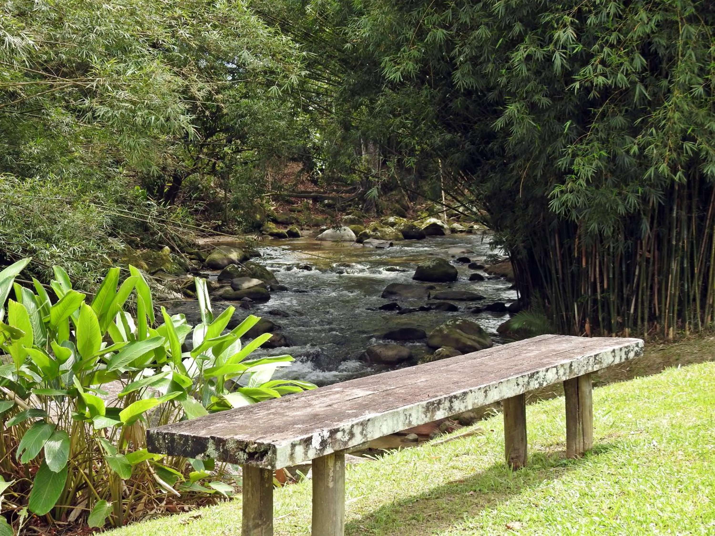 Garden in Hotel Pousada Bambuzal