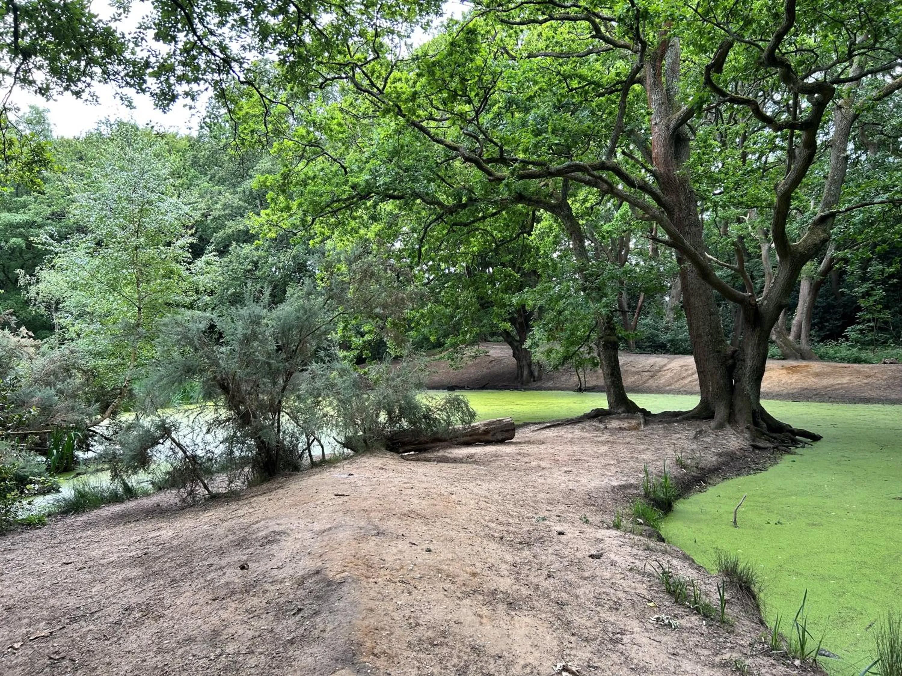 Spring in La Gaffe - Bed and Breakfast