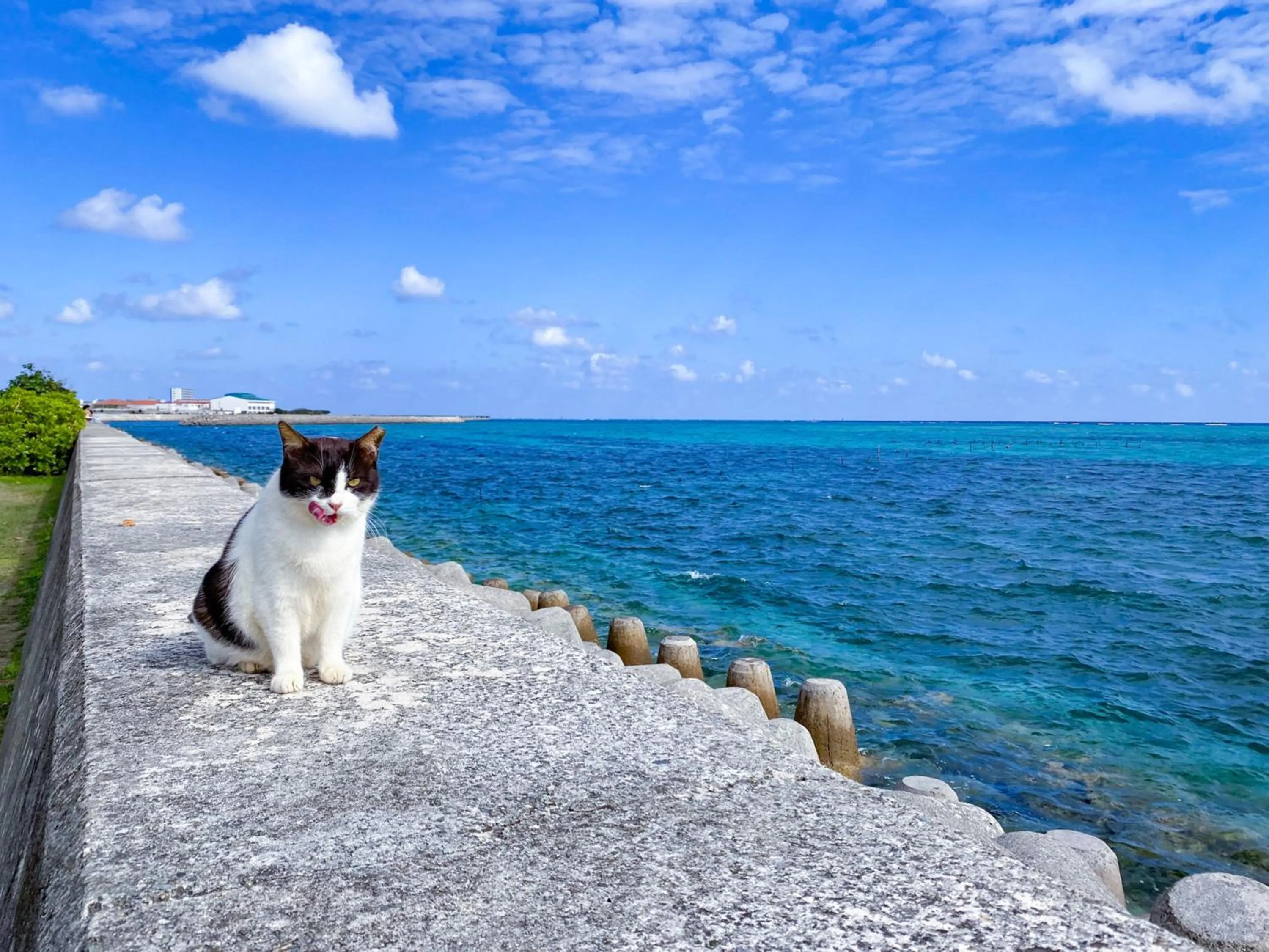 Off site in Guesthouse Asibina