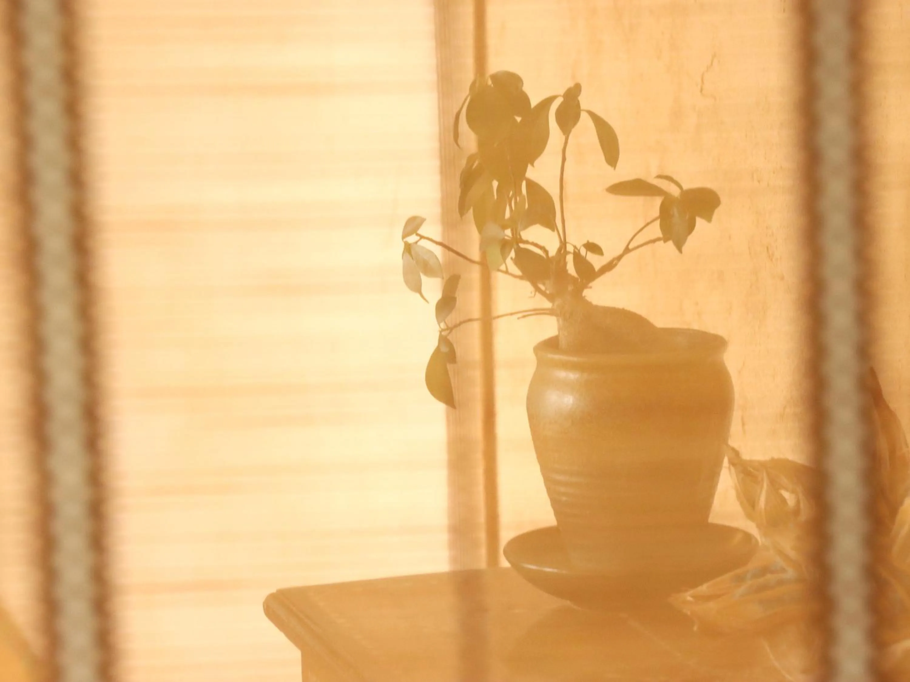 Decorative detail in Guesthouse Asibina