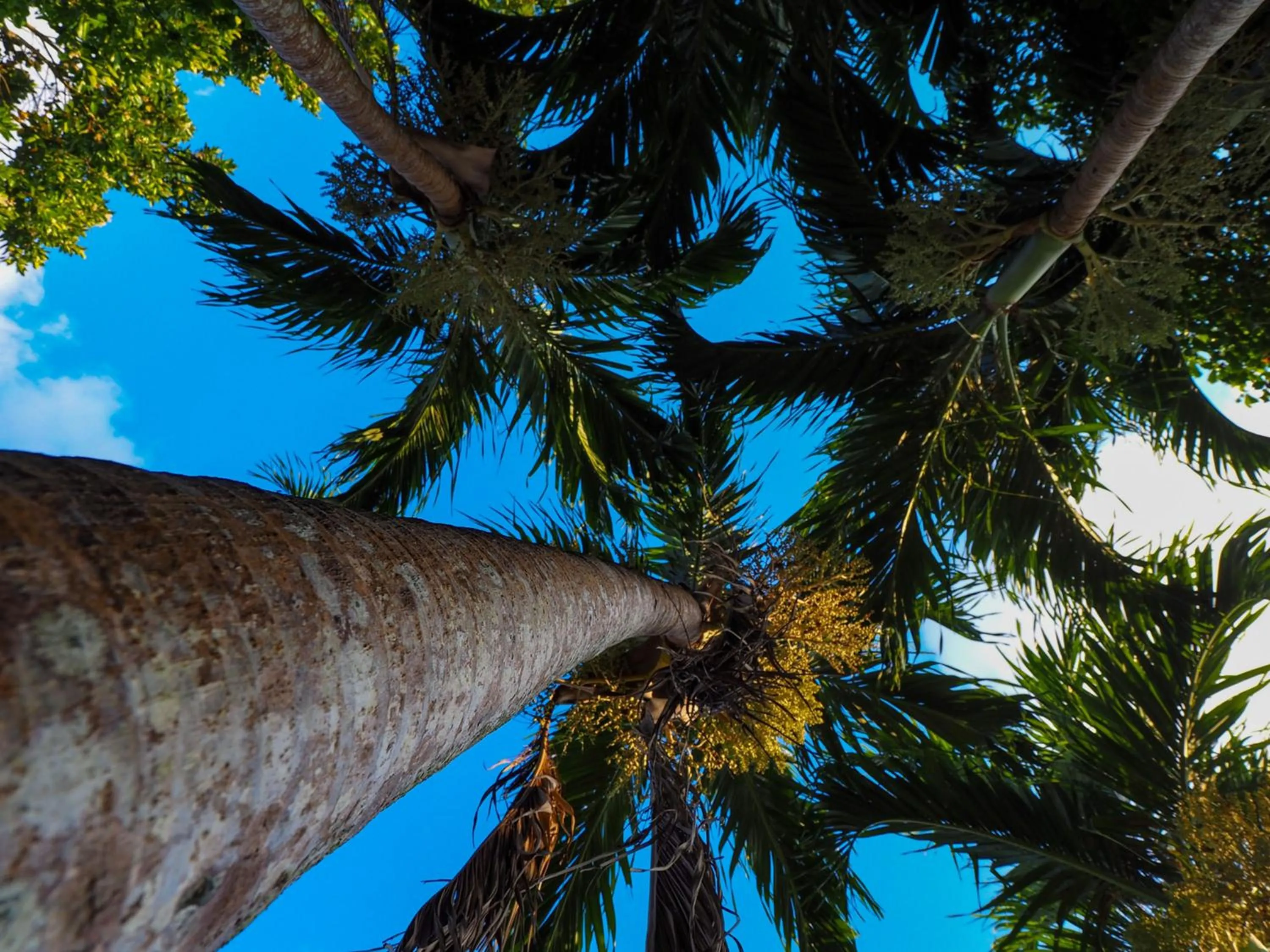 Nearby landmark in Guesthouse Asibina