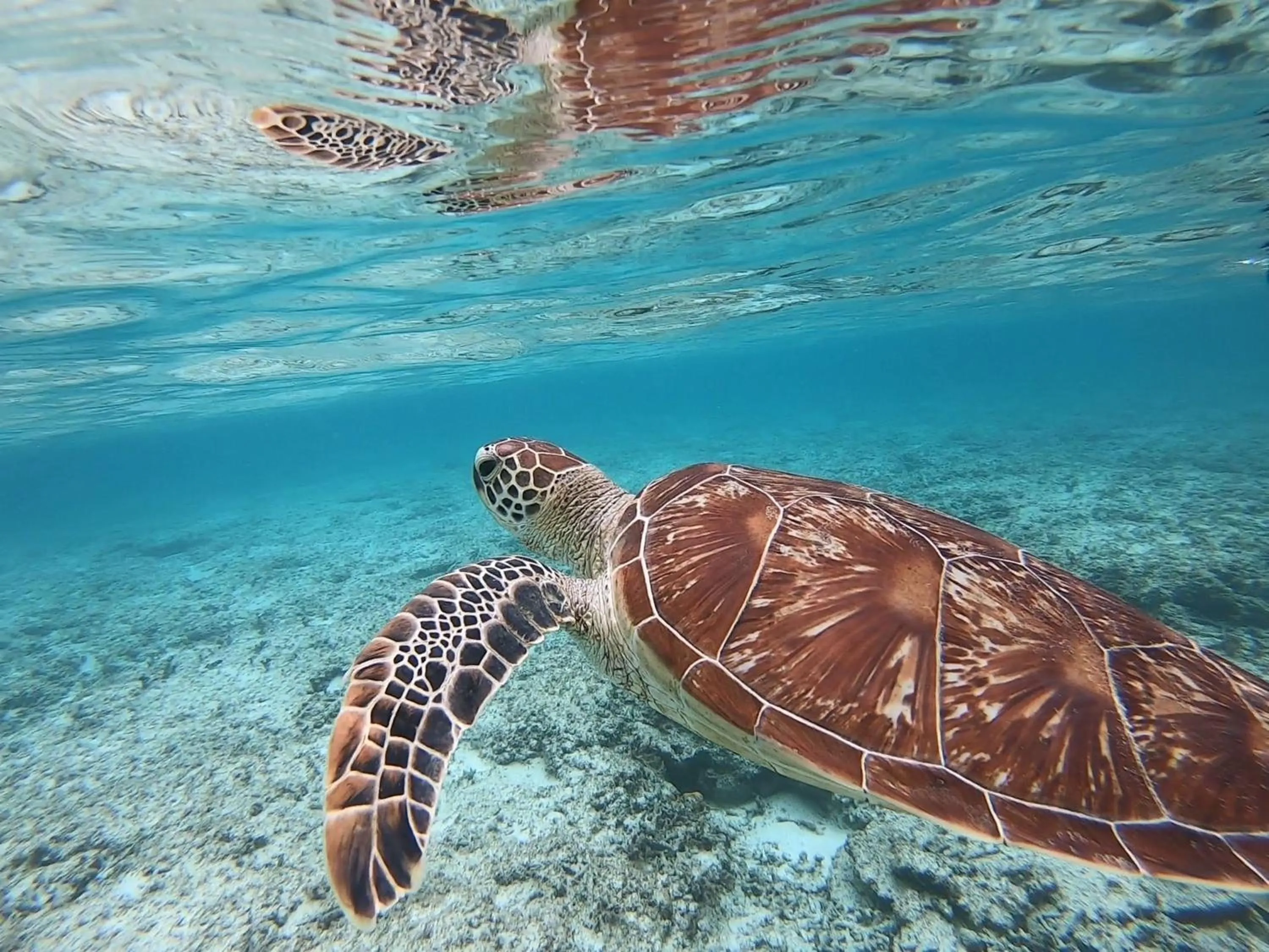 Nearby landmark in Guesthouse Asibina