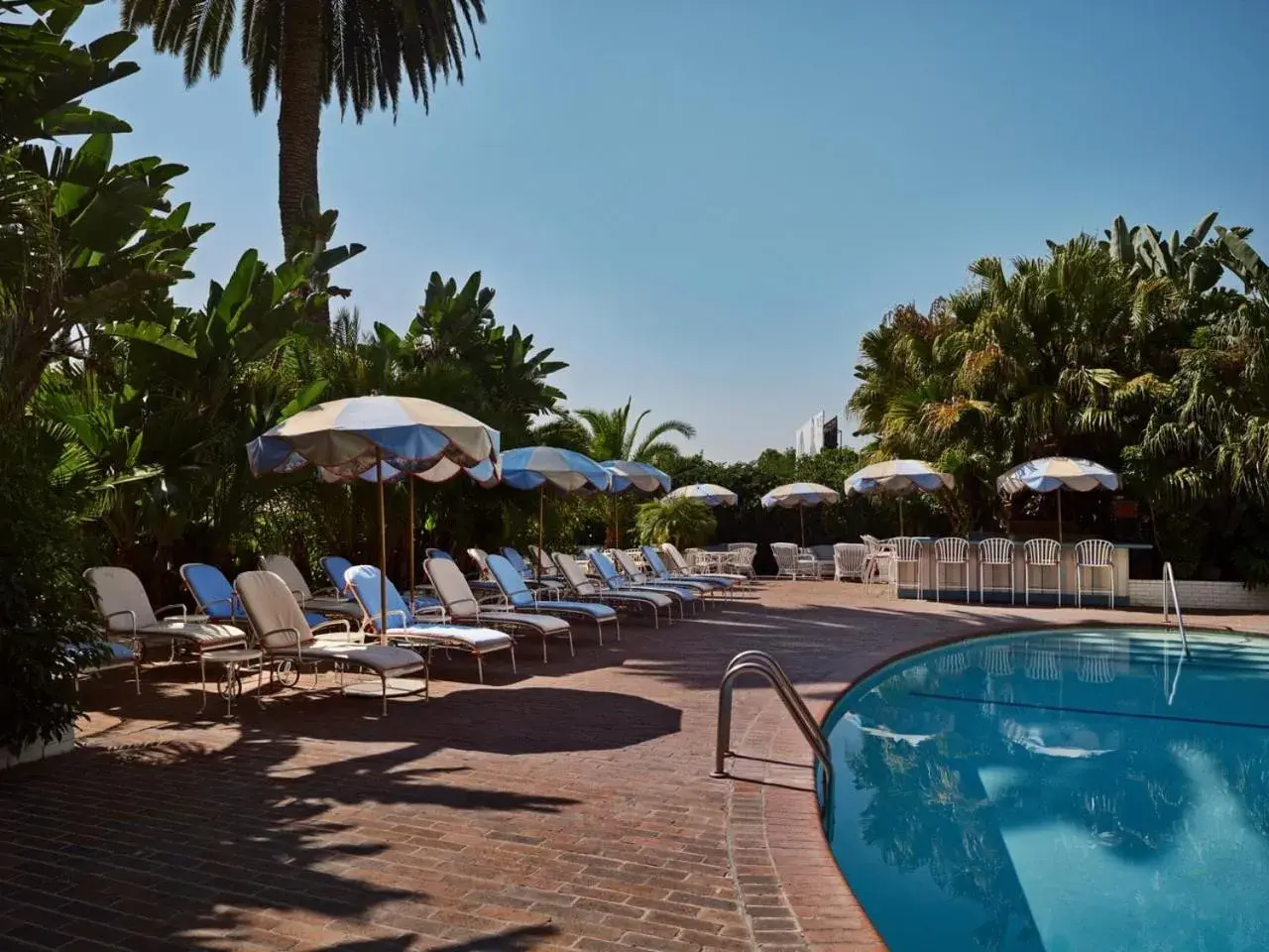 Pool view in Chateau Marmont Pool view in Chateau Marmont