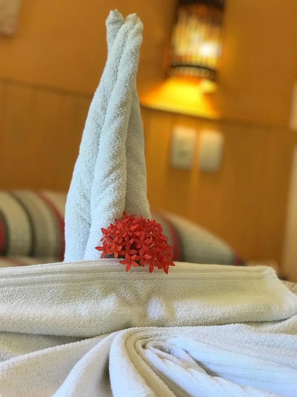 Bed in Pousada Tatuapara