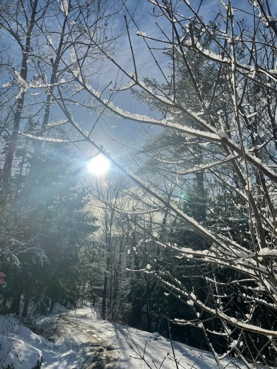 Grunberg Haus Inn & Cabins