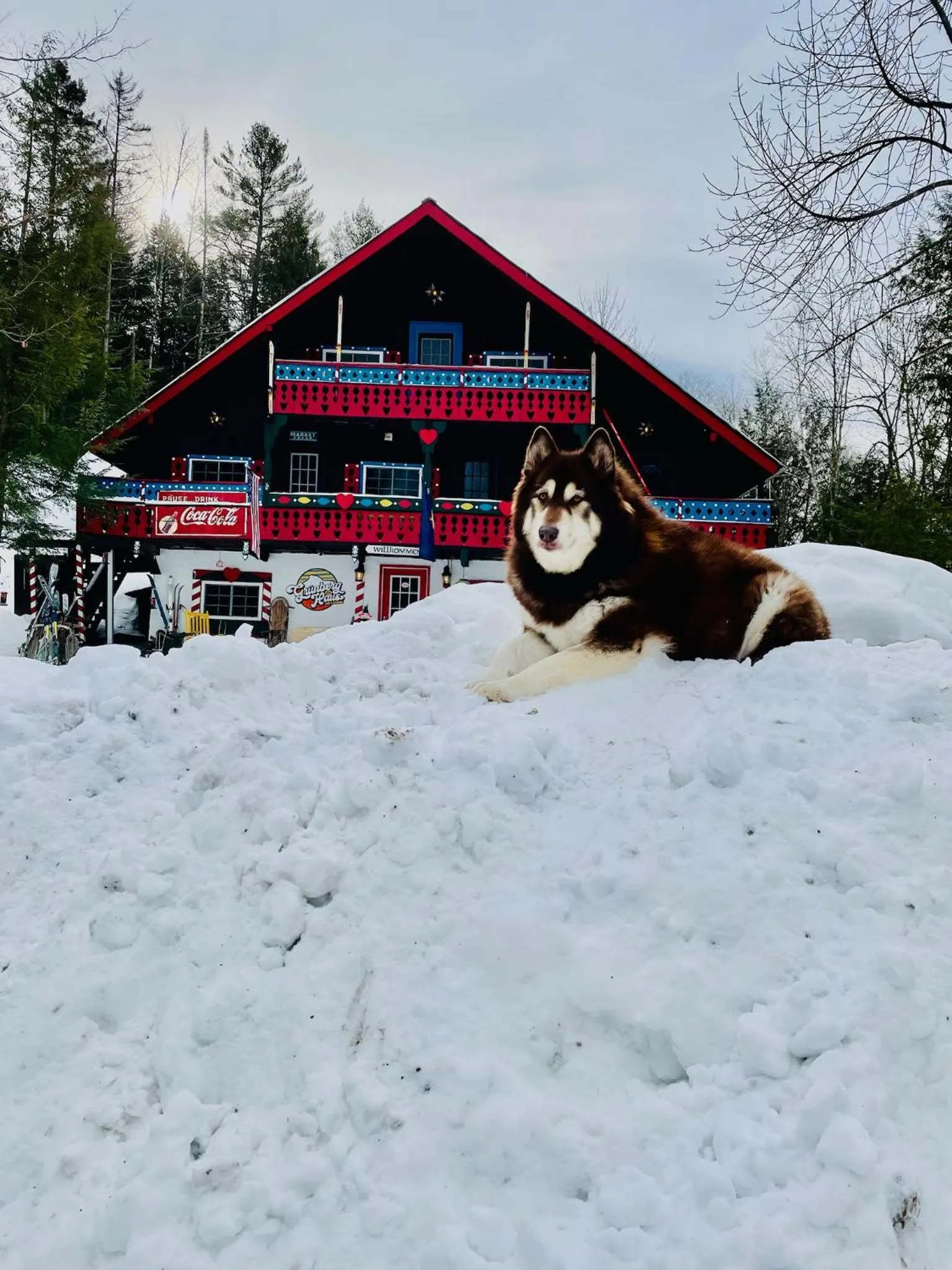 Grunberg Haus Inn & Cabins