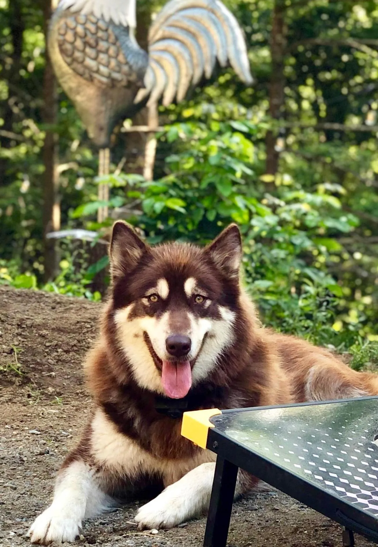 Grunberg Haus Inn & Cabins