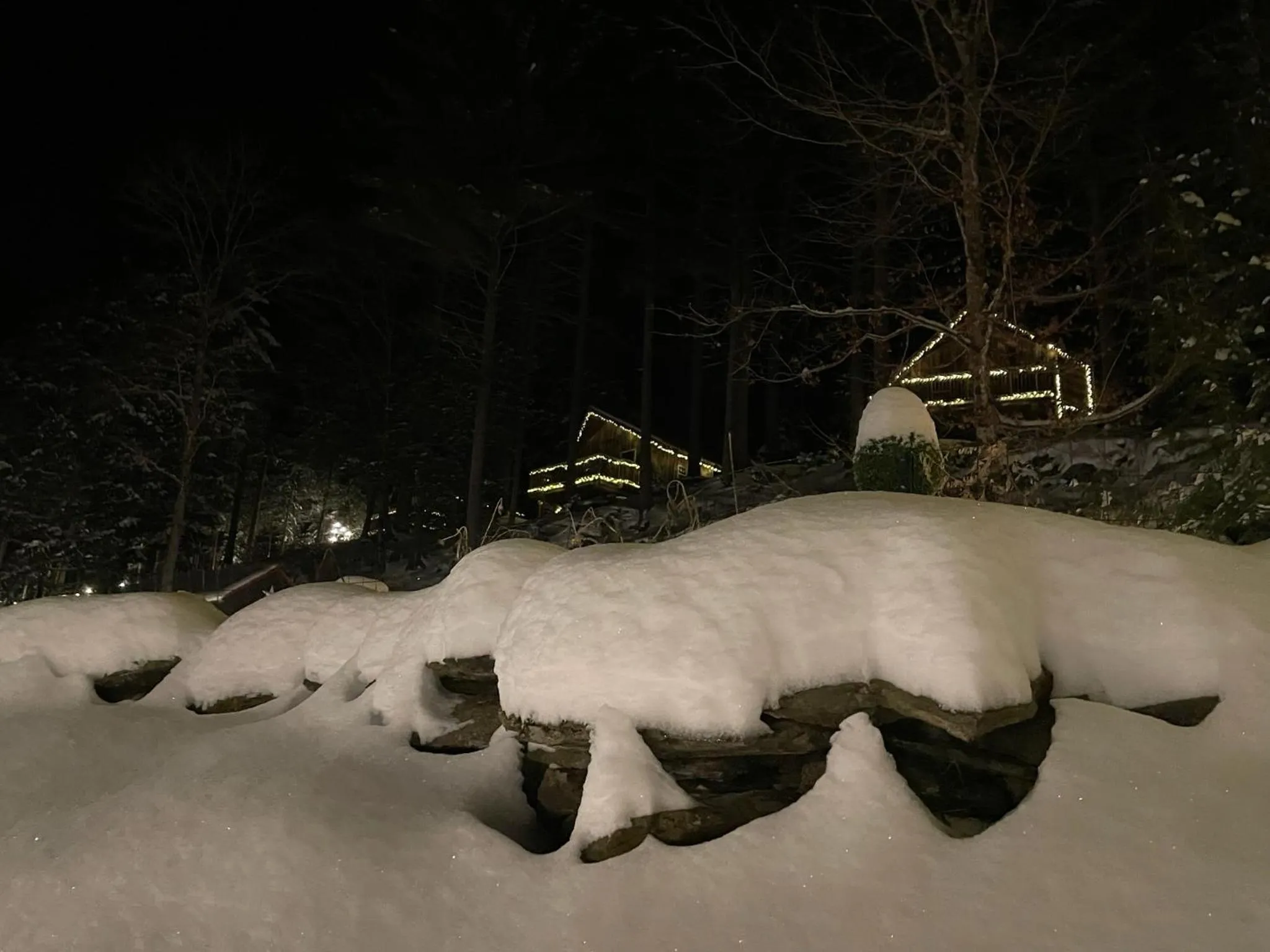 Grunberg Haus Inn & Cabins