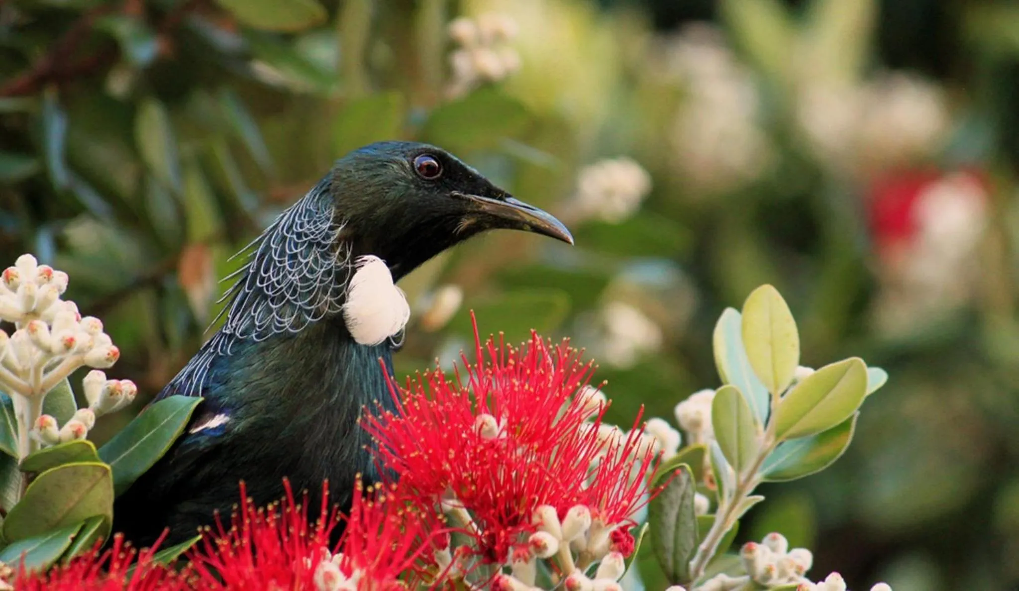 Spring in 252 Beachside Motels & Holiday Park