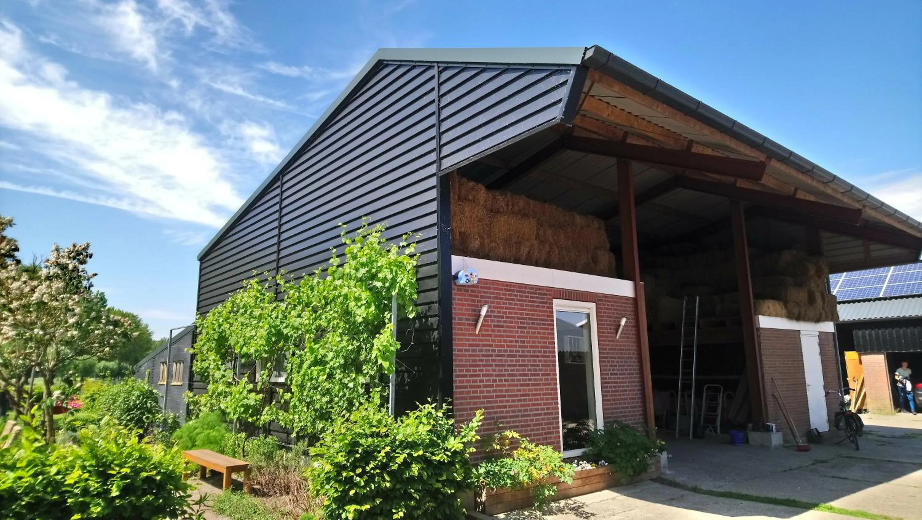 Property building in Raafjeshof - Appartementen