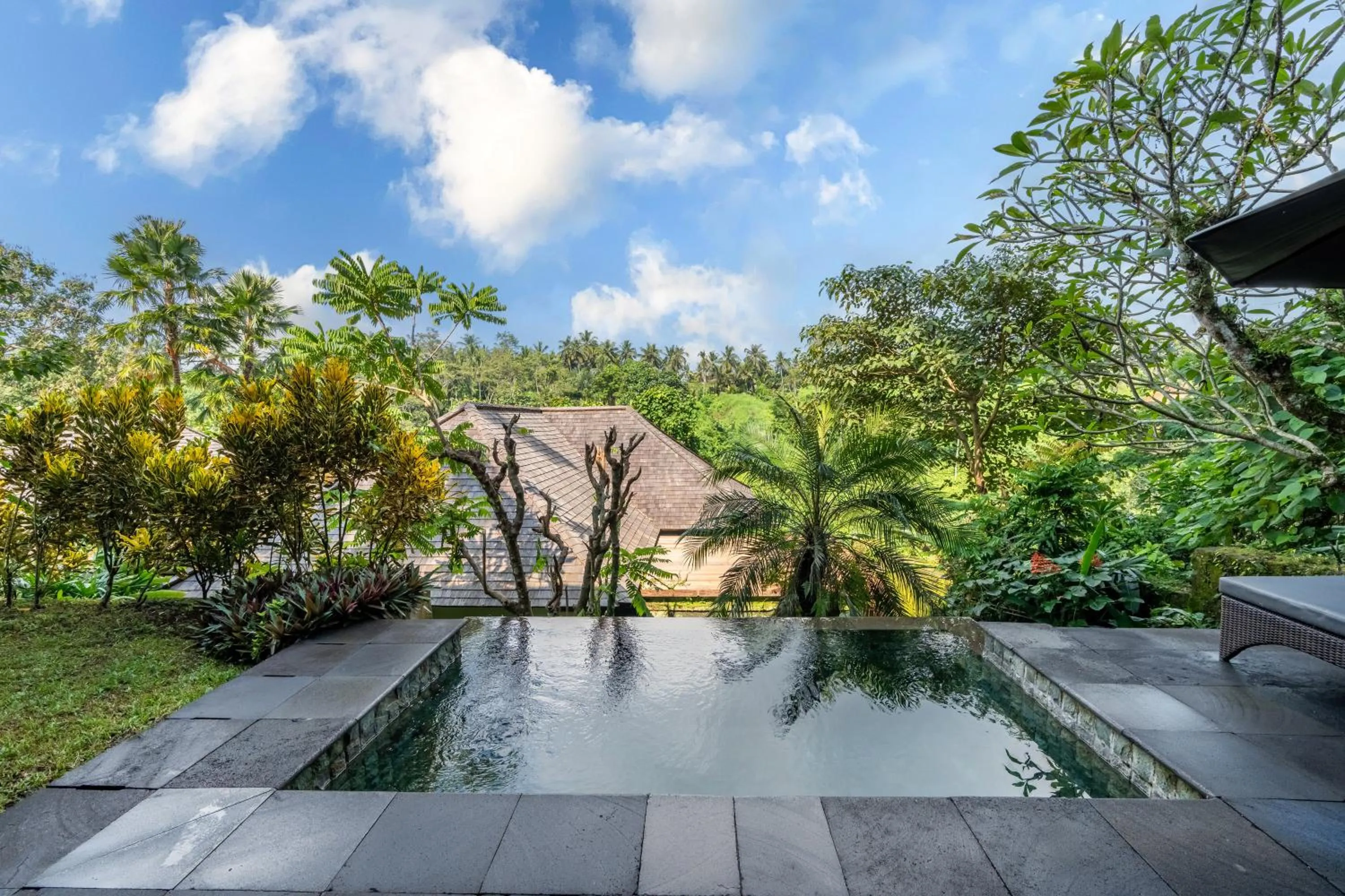 Swimming pool in Natura Villa Ubud Bali