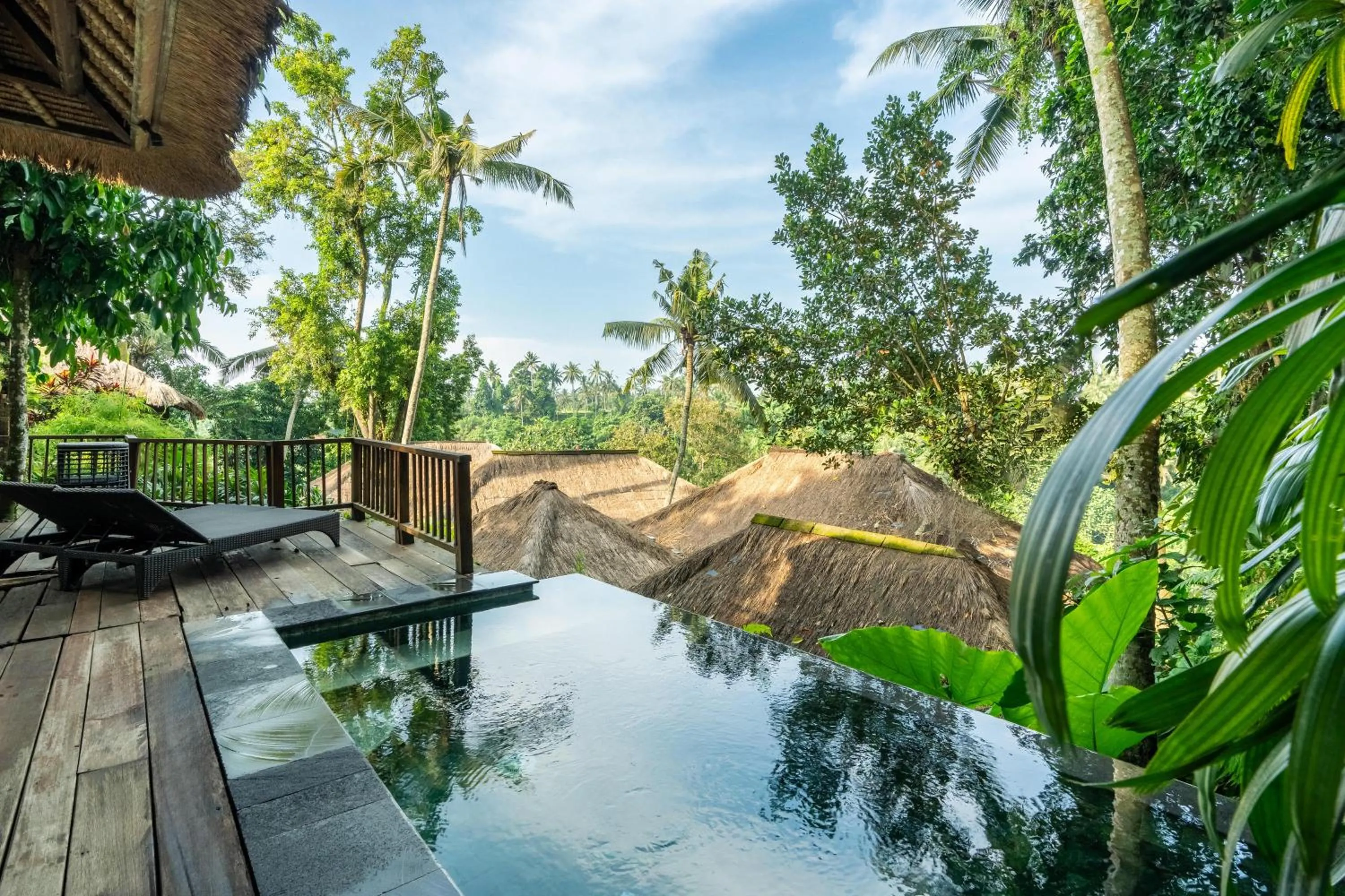 Swimming pool in Natura Villa Ubud Bali