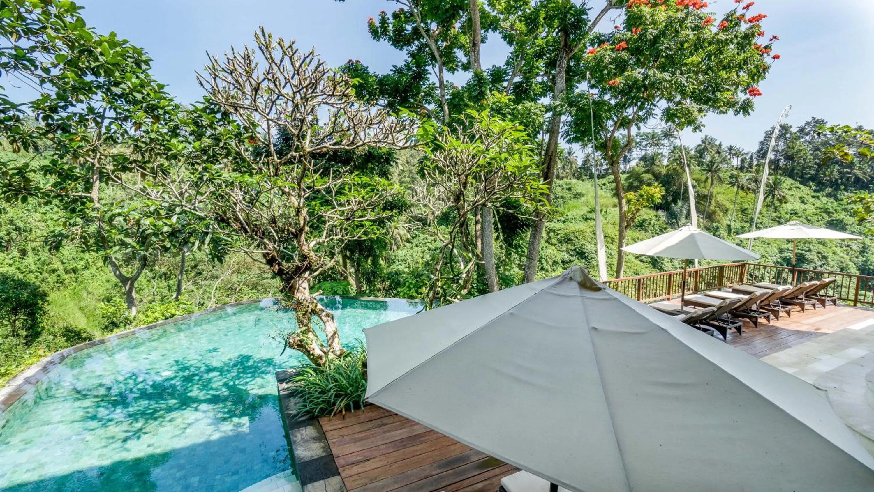 View (from property/room) in Natura Villa Ubud Bali
