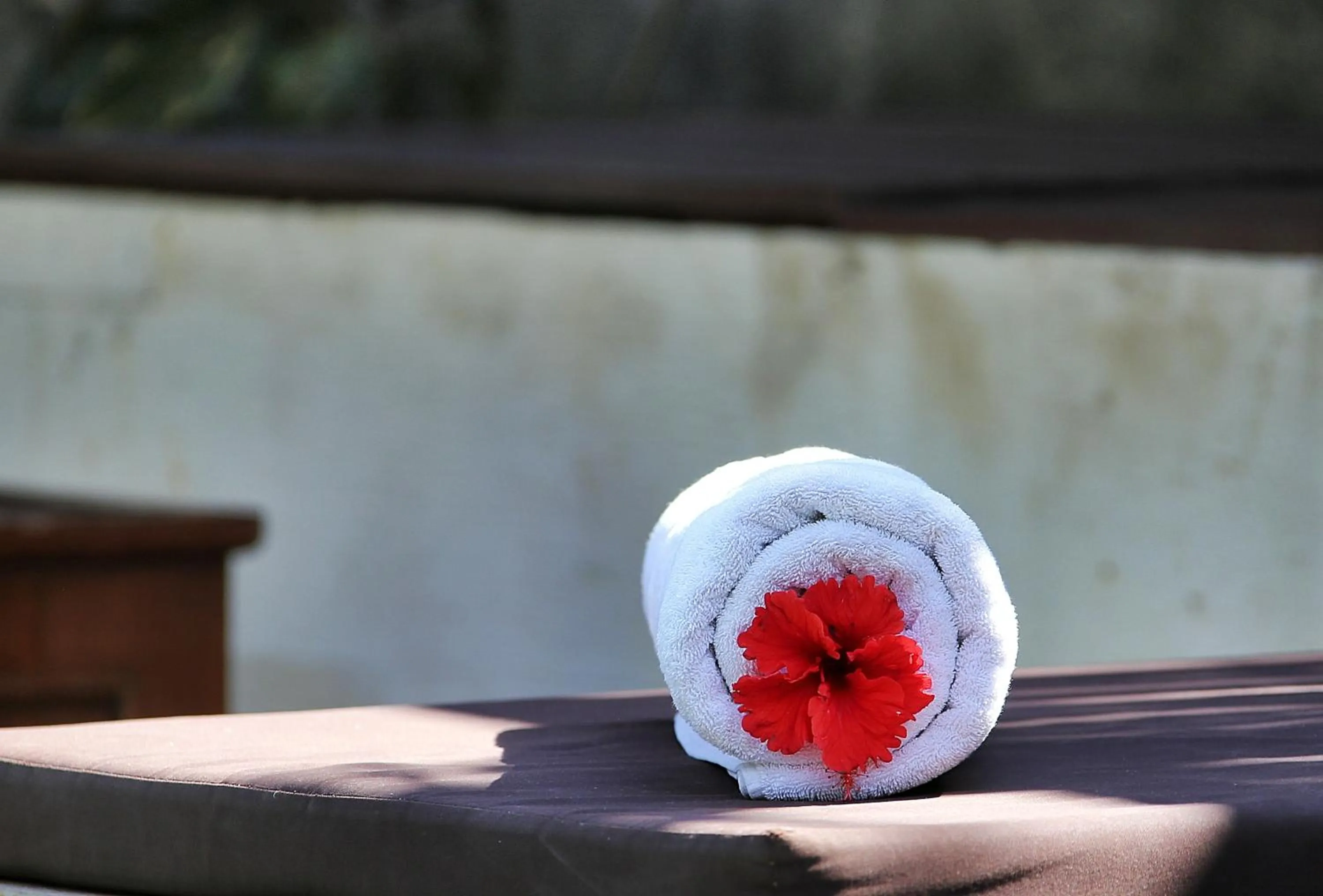 Day in The Sanyas Suite Bali