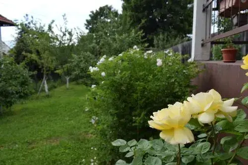 Apartman MirA Apartman MirA