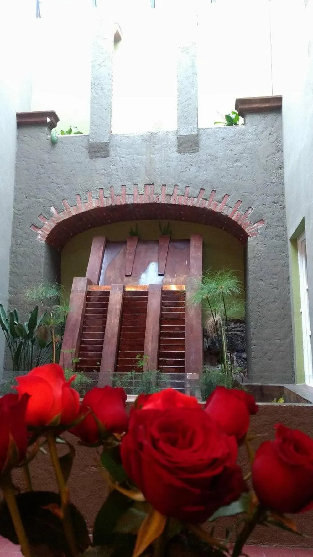 Garden view in Hotel Galería