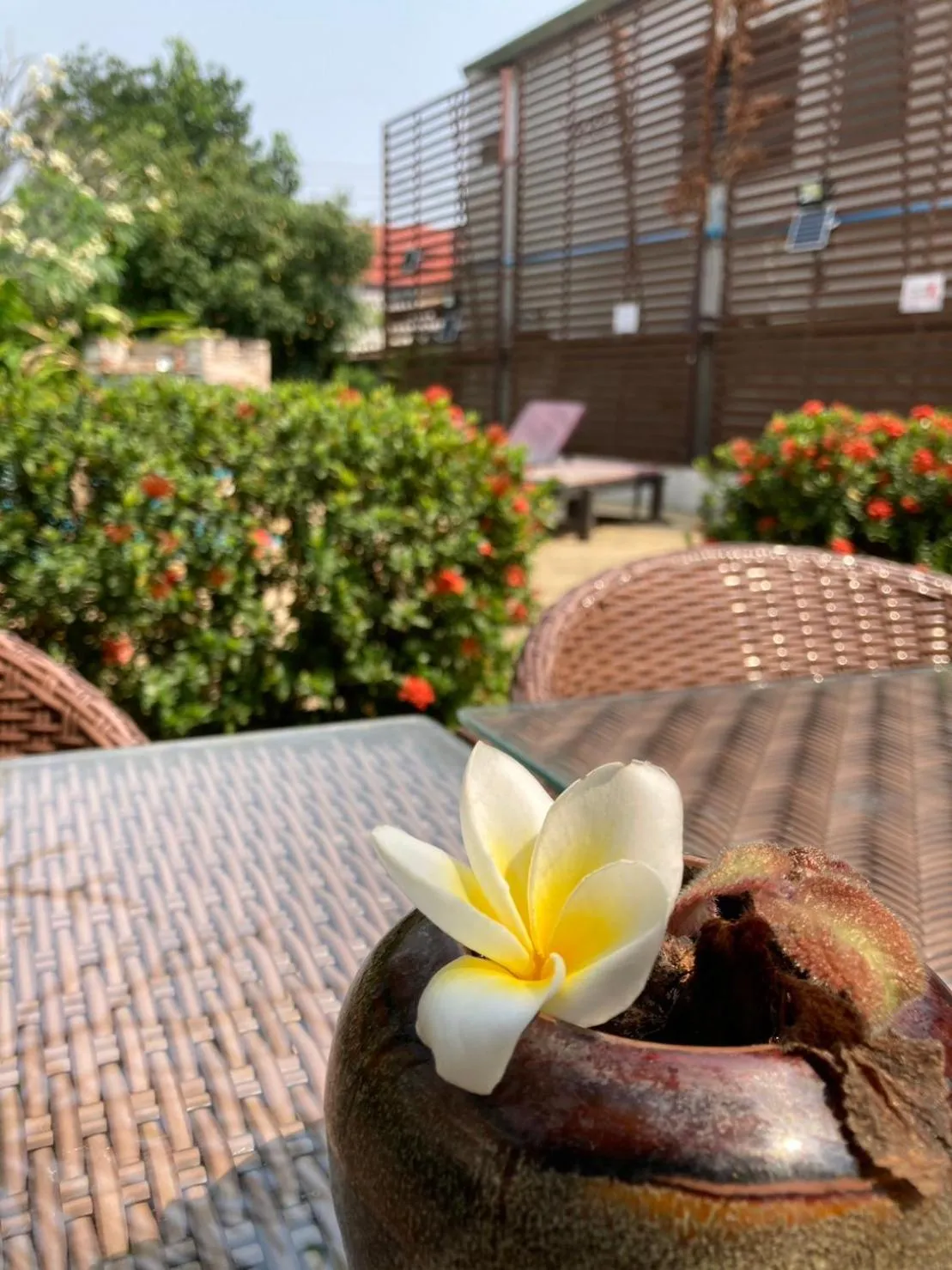 Garden in Wiriya House