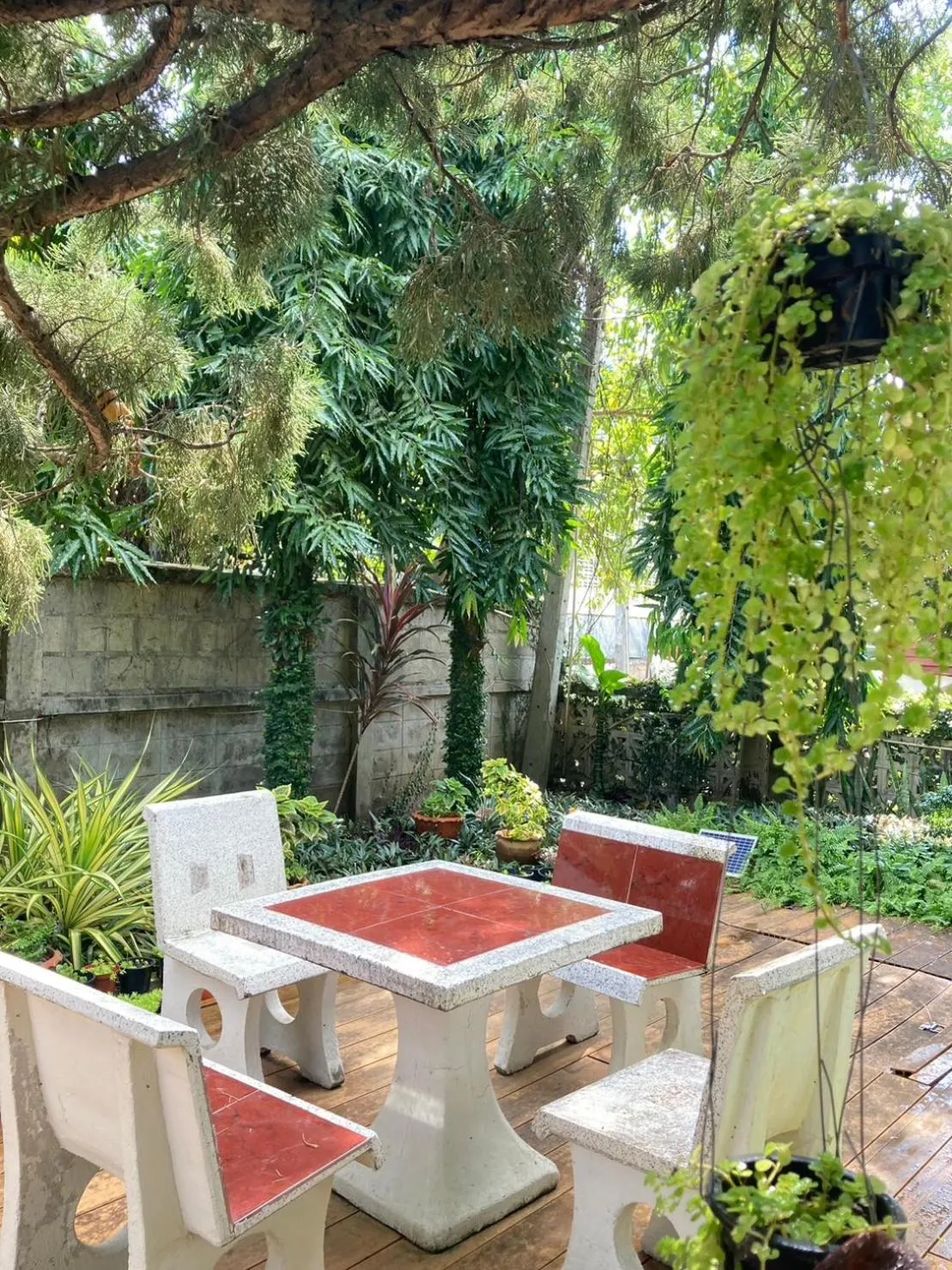 Garden in Wiriya House