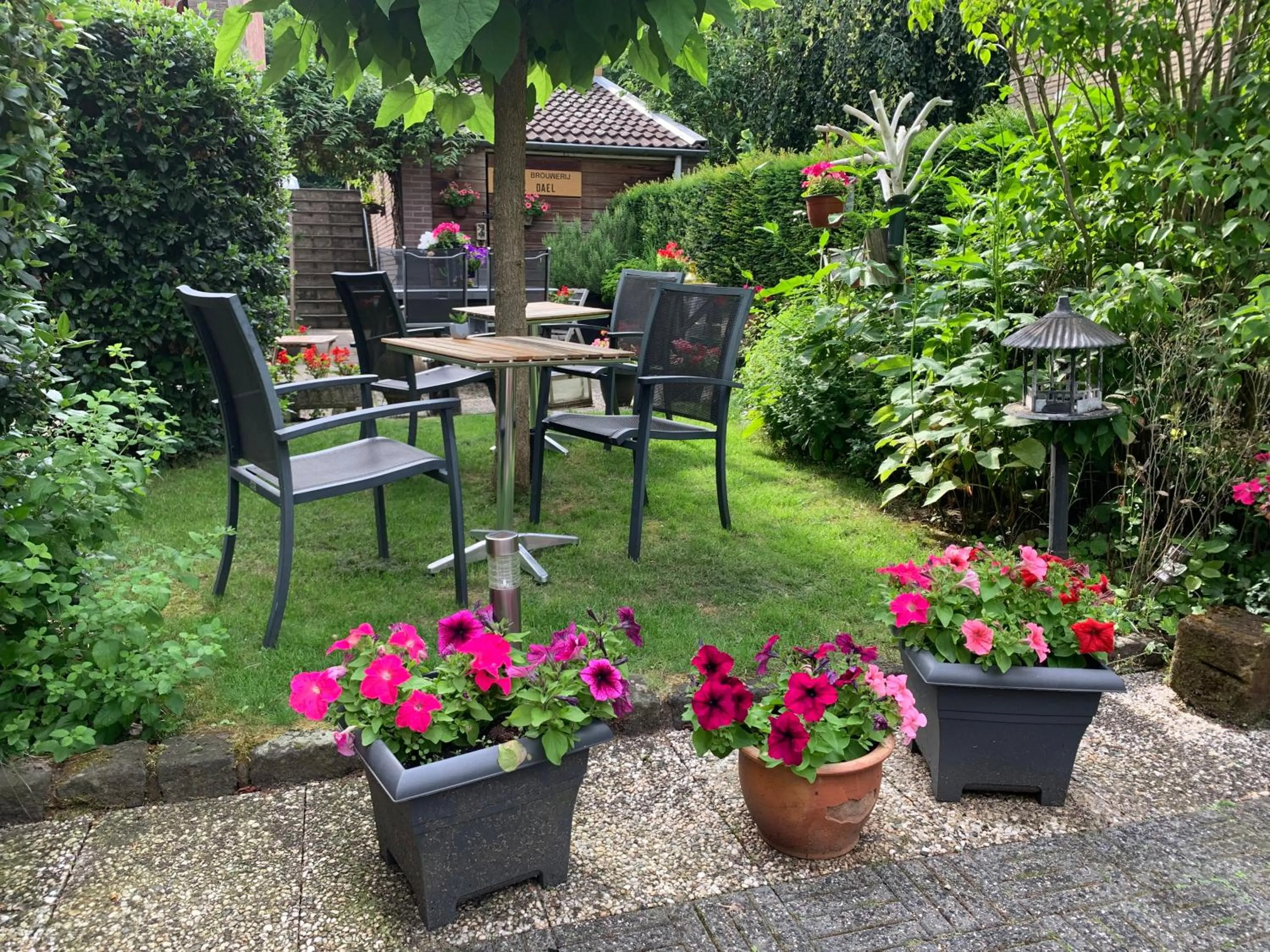 Pension Auberge de Dael
