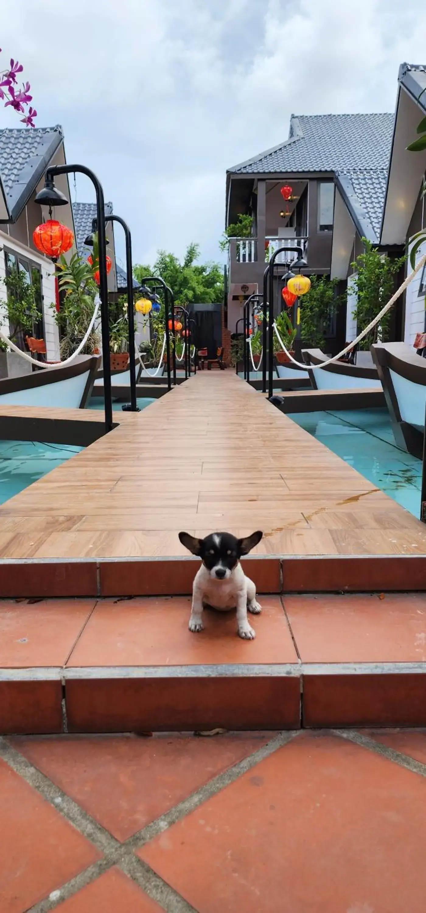 Coco Bungalows Hoi An Coco Bungalows Hoi An