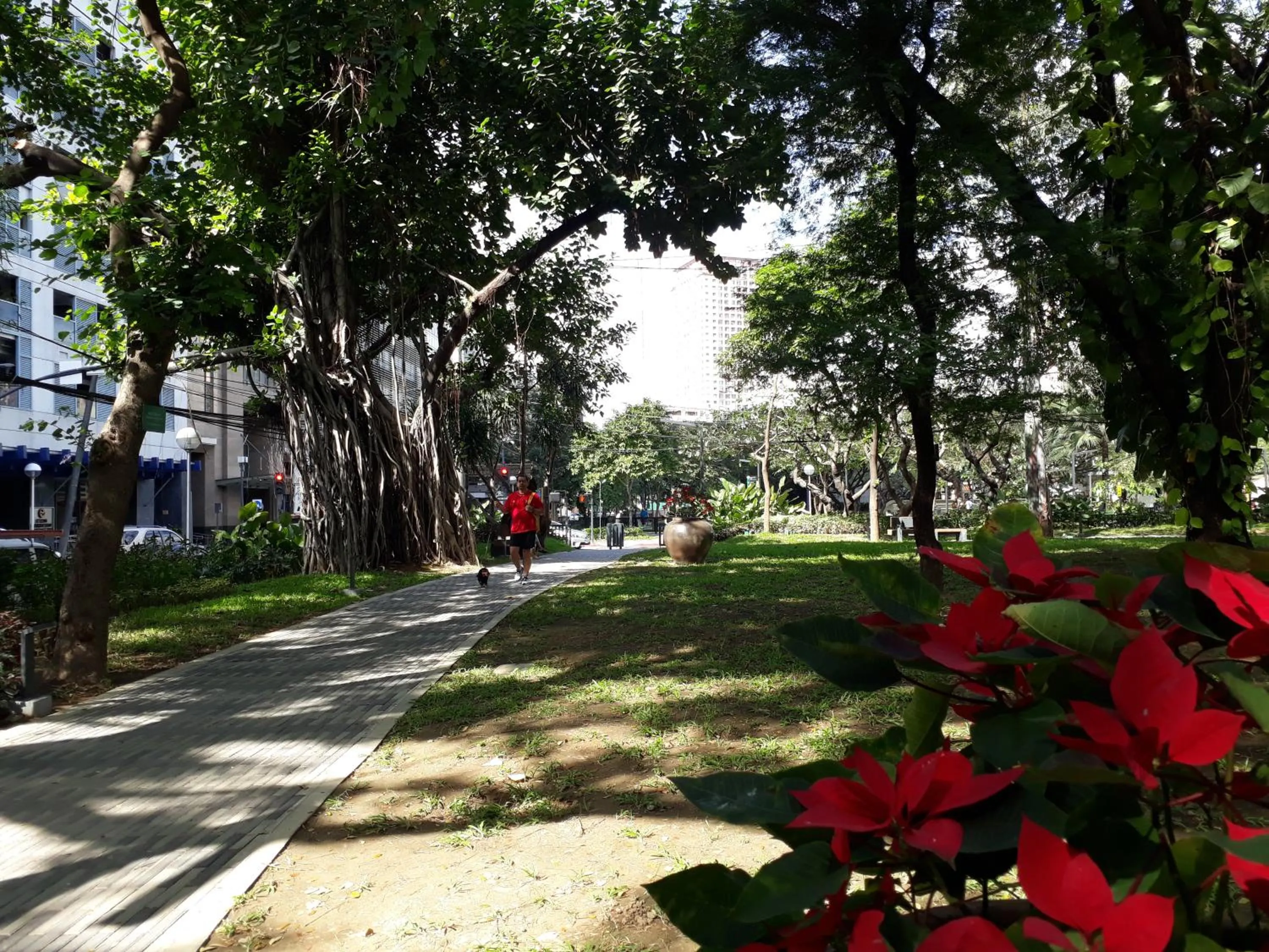 Garden in KL Executive Greenbelt (KLX)