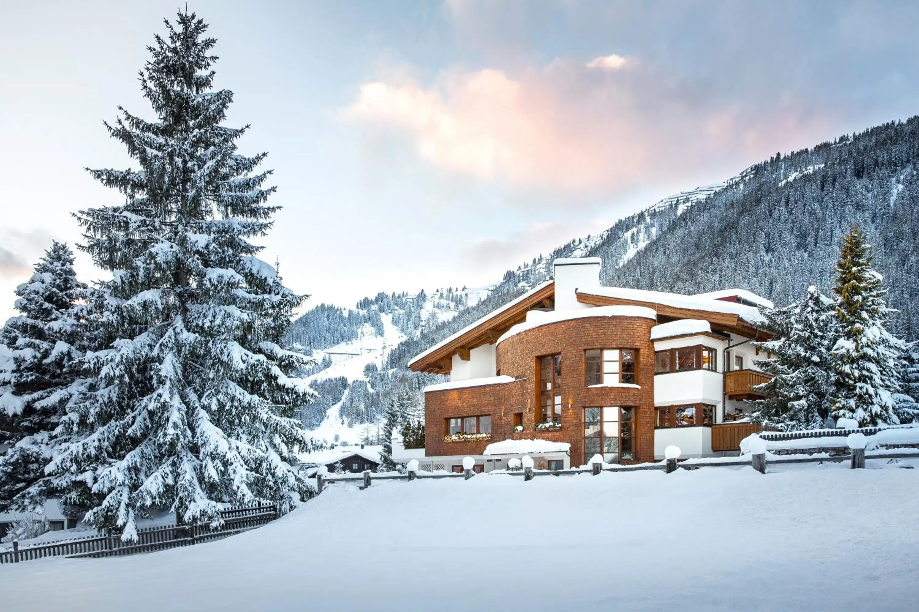 Rosa Canina Superior Rosa Canina Superior