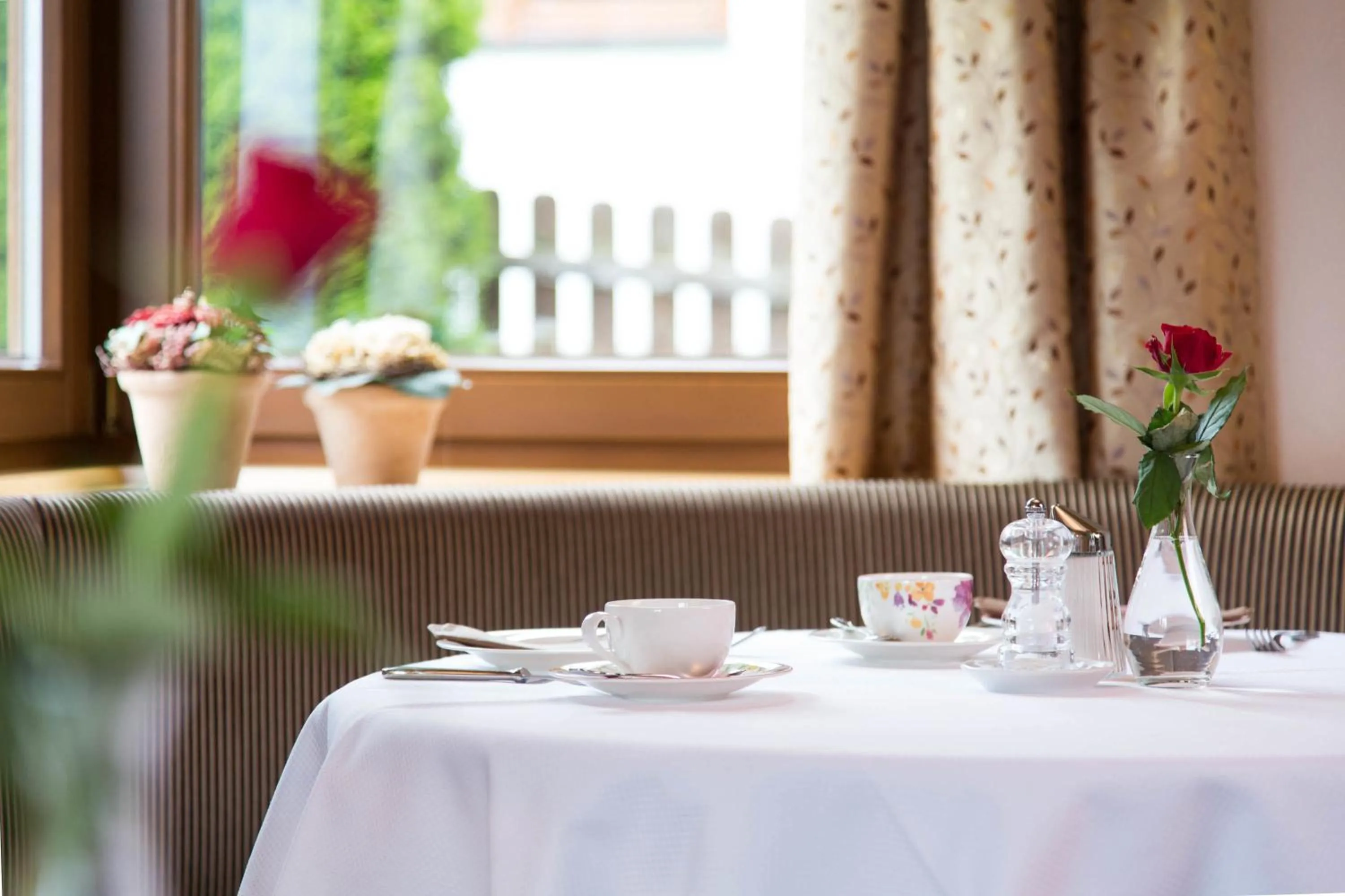 Restaurant/places to eat in Rosa Canina Superior