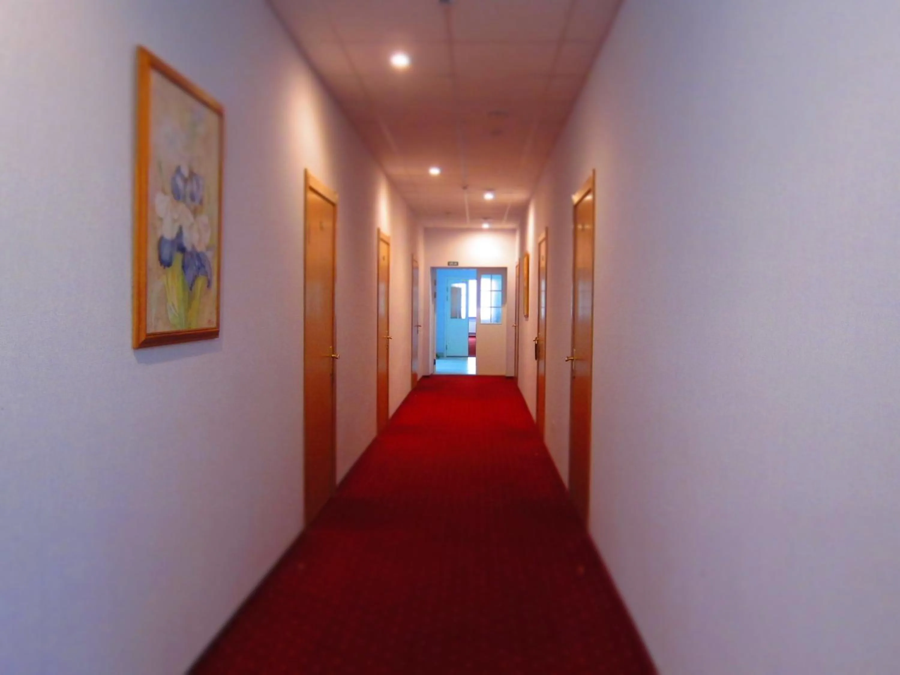 Patio in Hotel Vilmaja