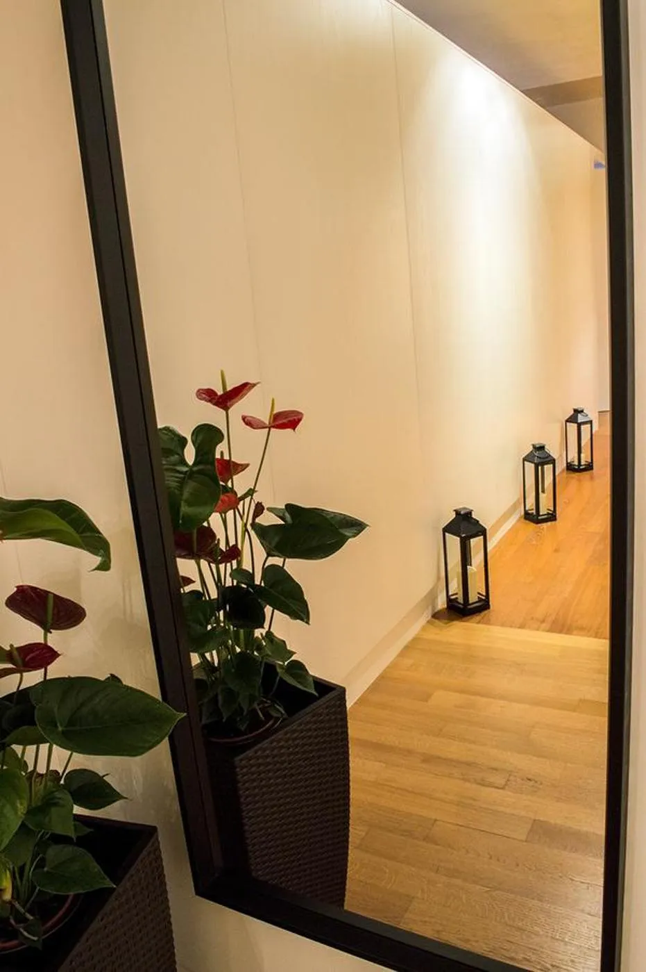 Lobby or reception in Amor Mio B&B