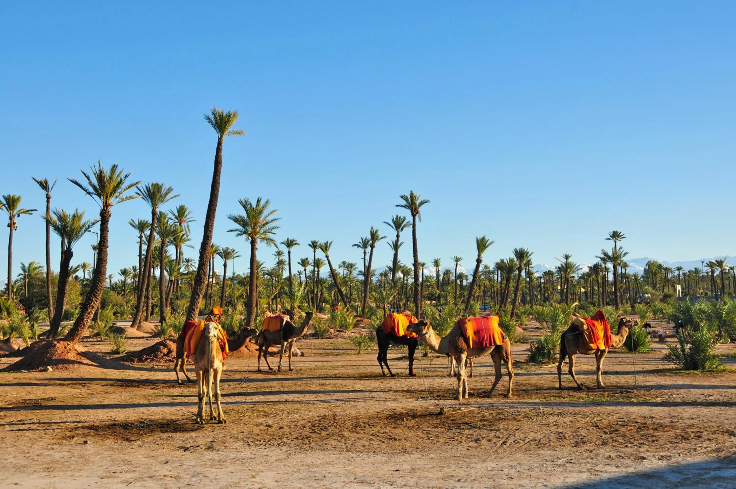 Business facilities in Villa Des 3 Golfs