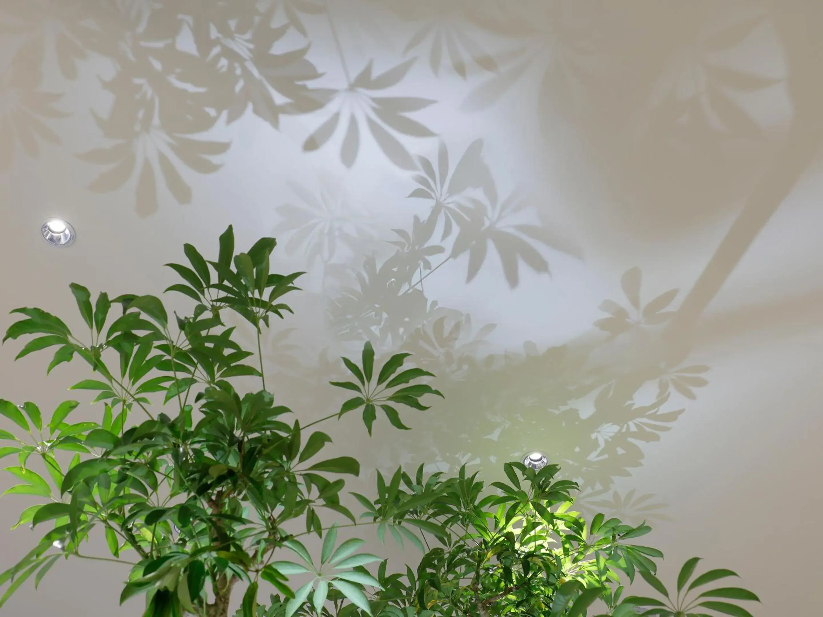 Lobby or reception in Mitsui Garden Hotel Sapporo Lobby or reception in Mitsui Garden Hotel Sapporo