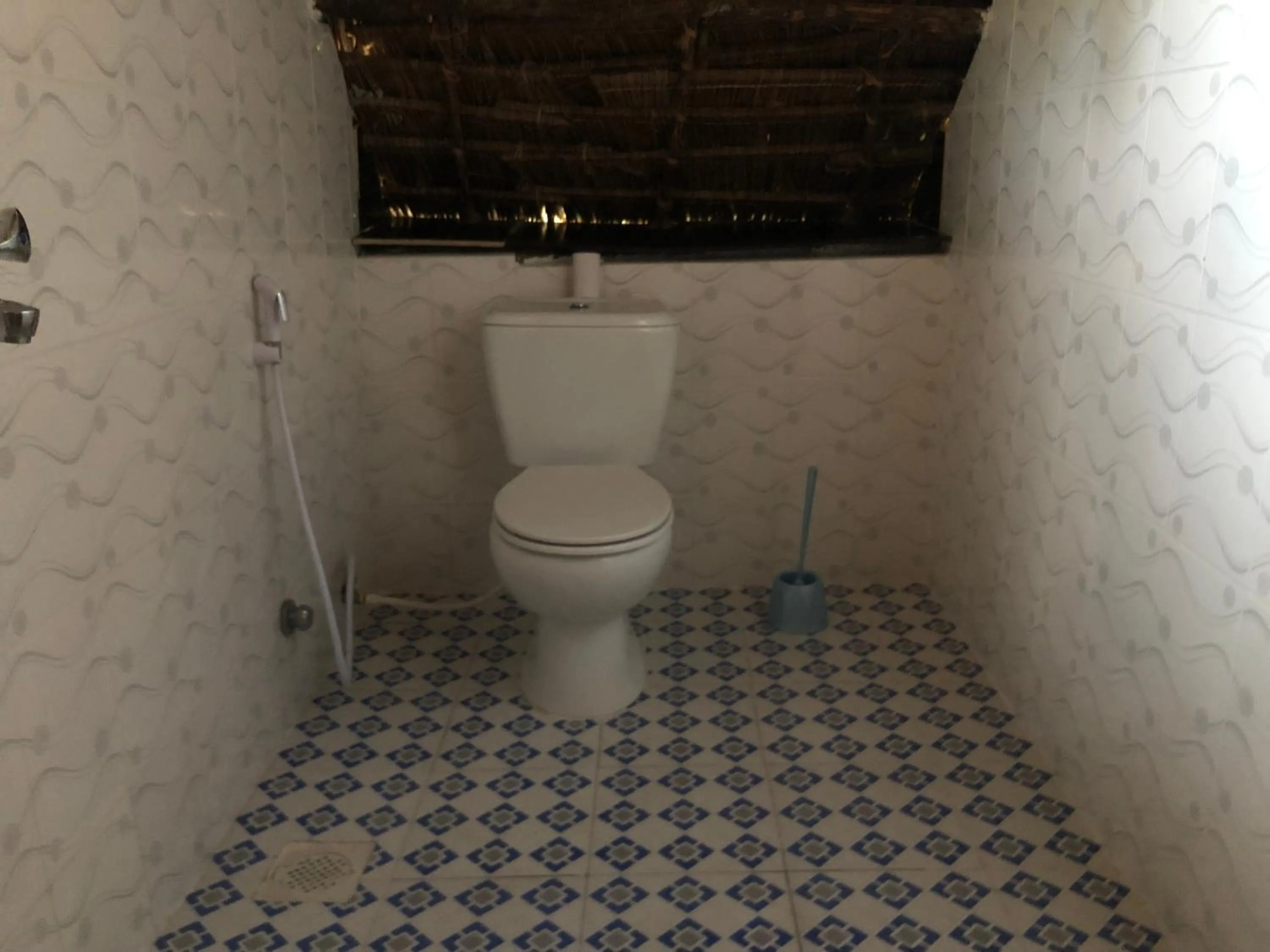 Toilet in Blue Earth Beach Bungalow