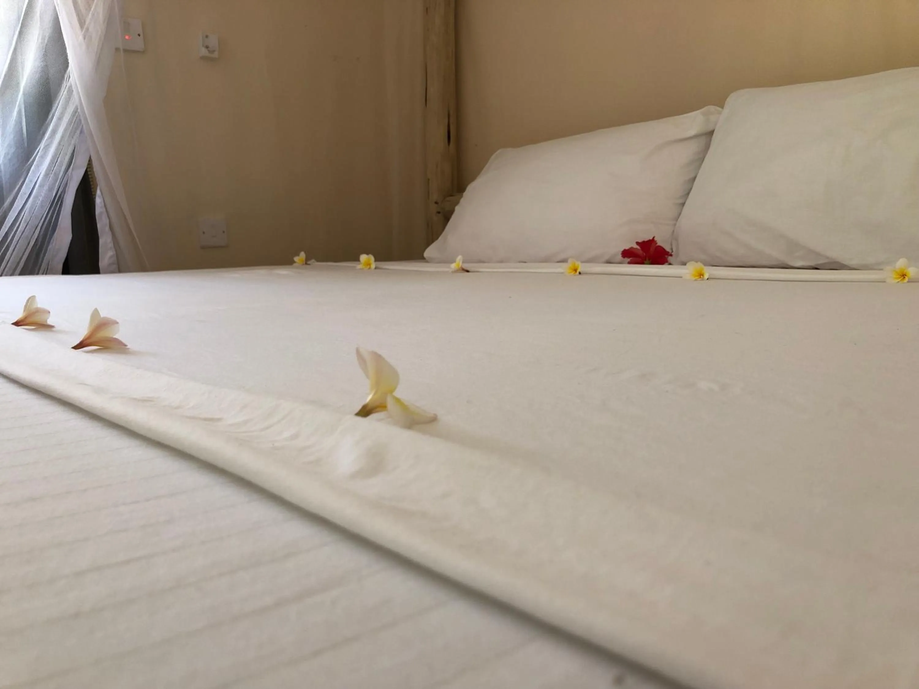 Bed in Blue Earth Beach Bungalow