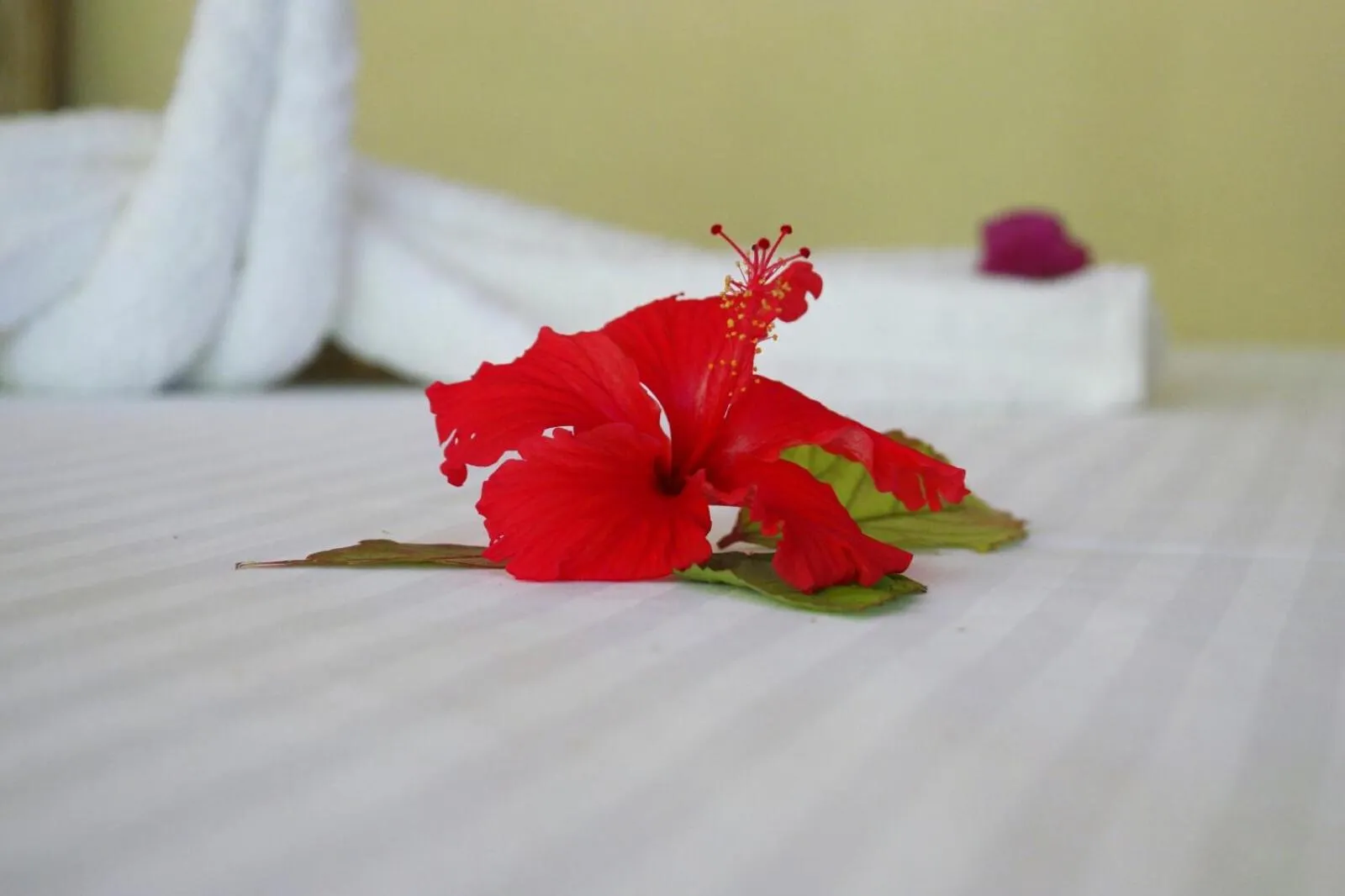Bedroom, Bed in Blue Earth Beach Bungalow