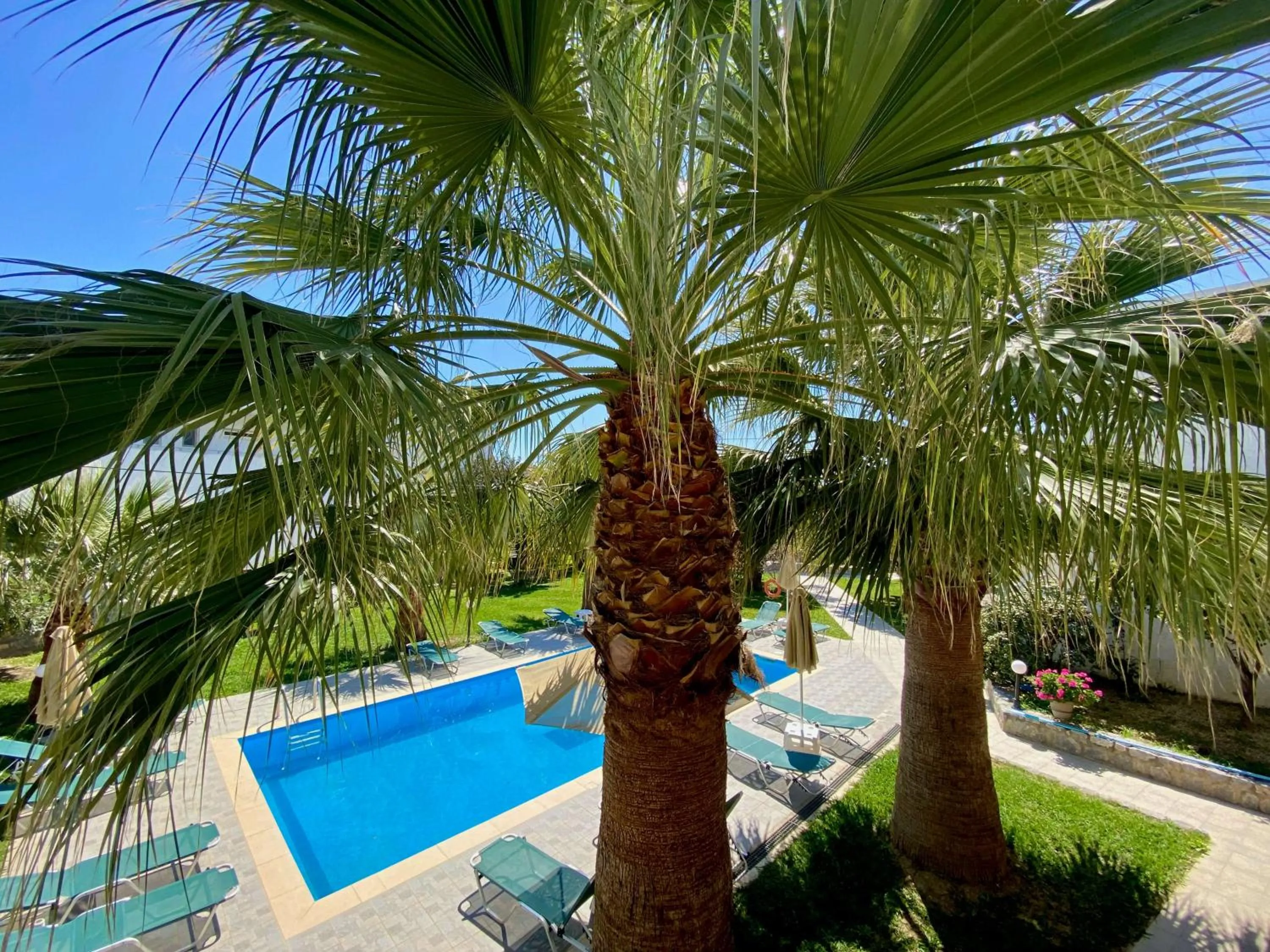 Balcony/Terrace in Manolis Apartments plakias