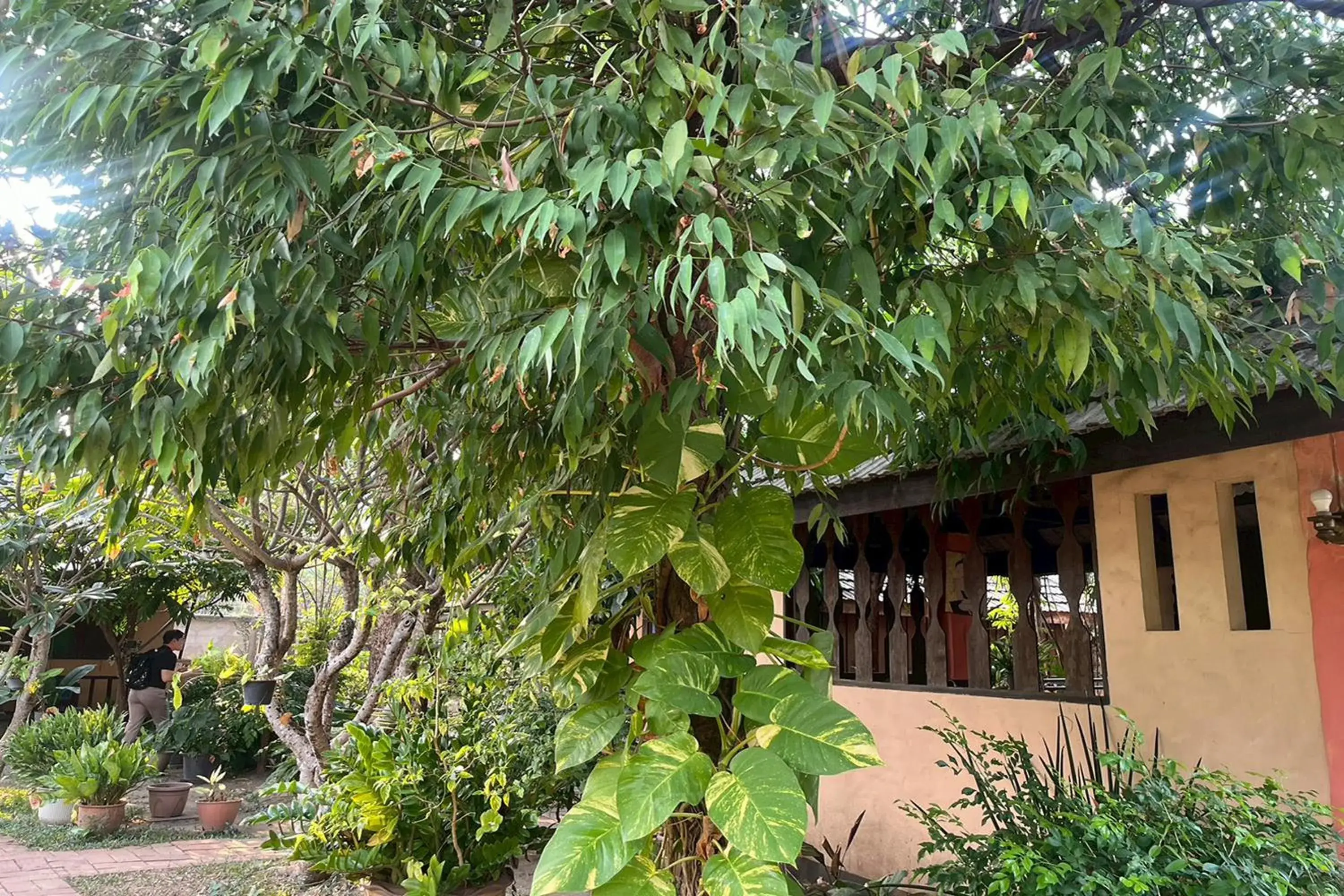 Property building in The Royal Shilton Resort Property building in The Royal Shilton Resort