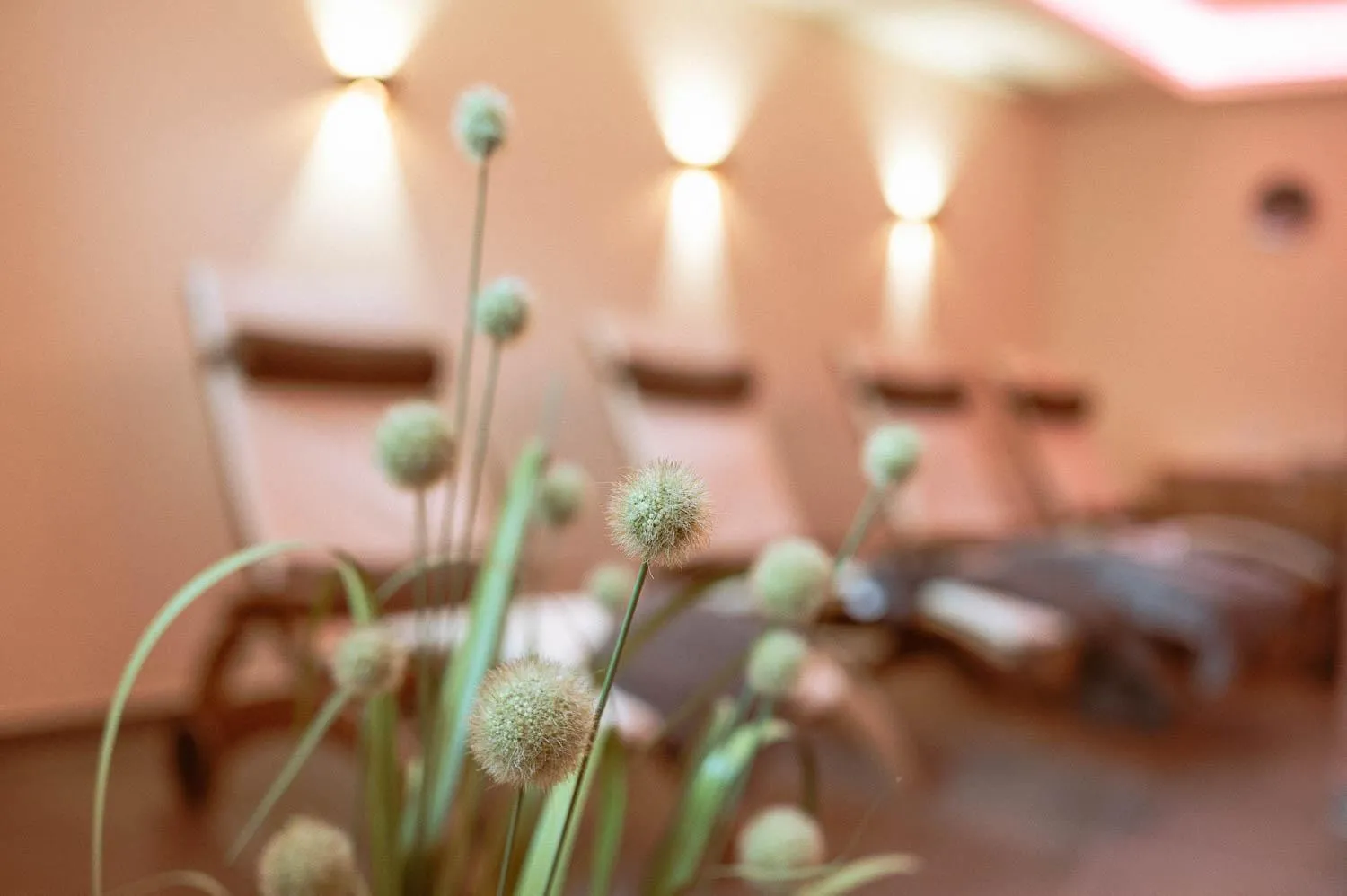 Spa and wellness centre/facilities, Bed in Hotel Bachschmied