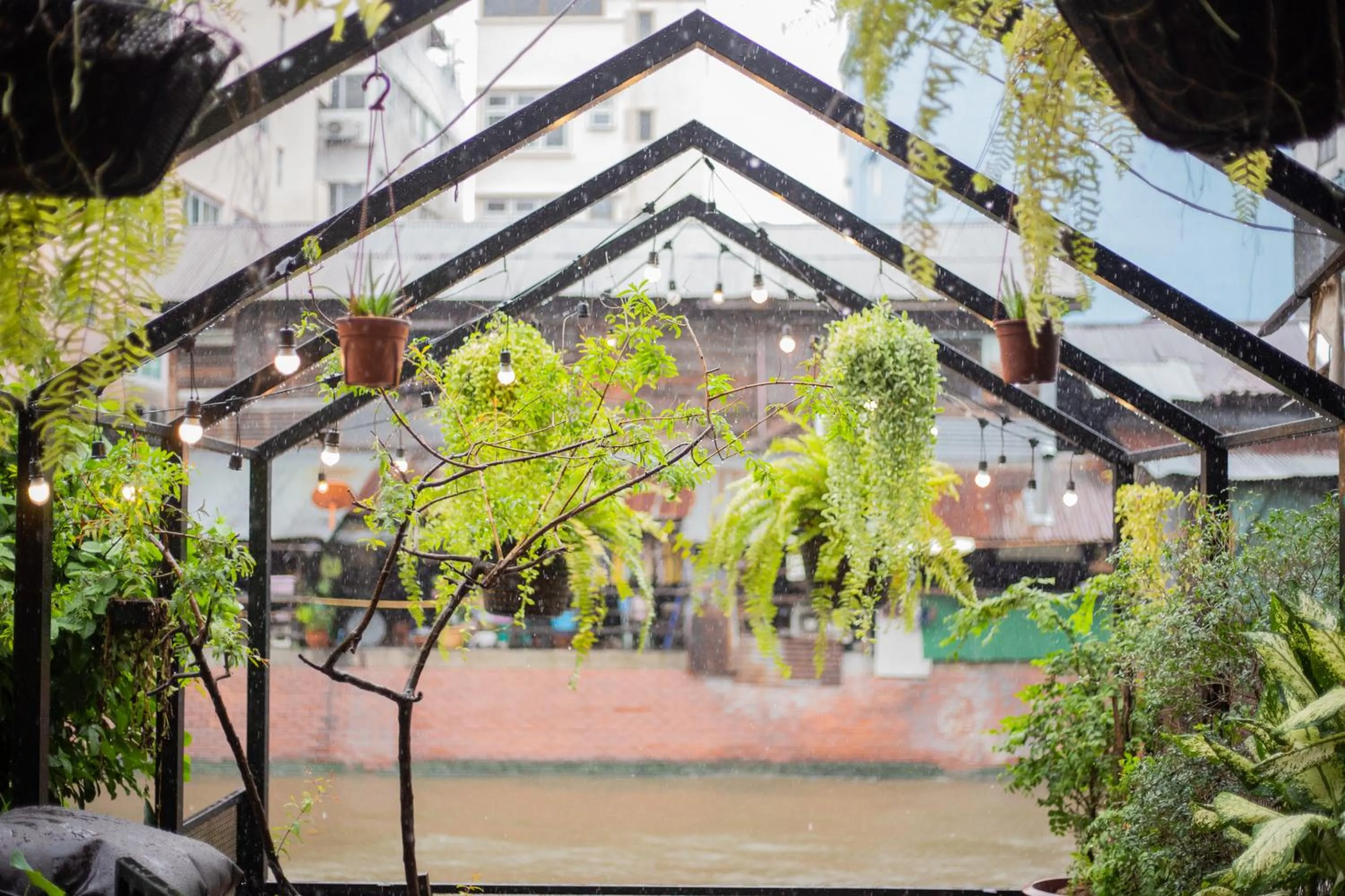 Garden in Klong House