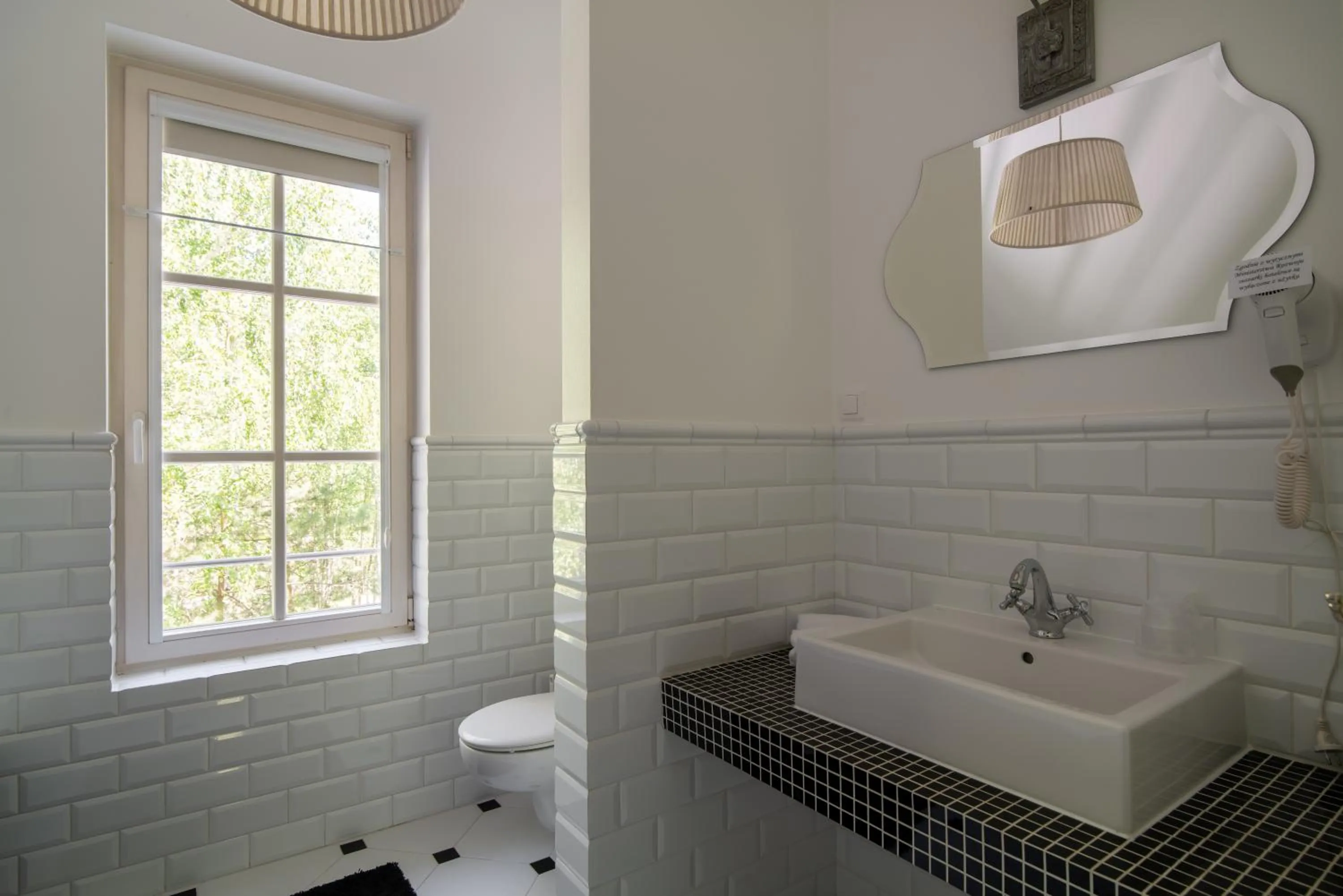 Bathroom in Dwór Złotopolska Dolina Mansion House