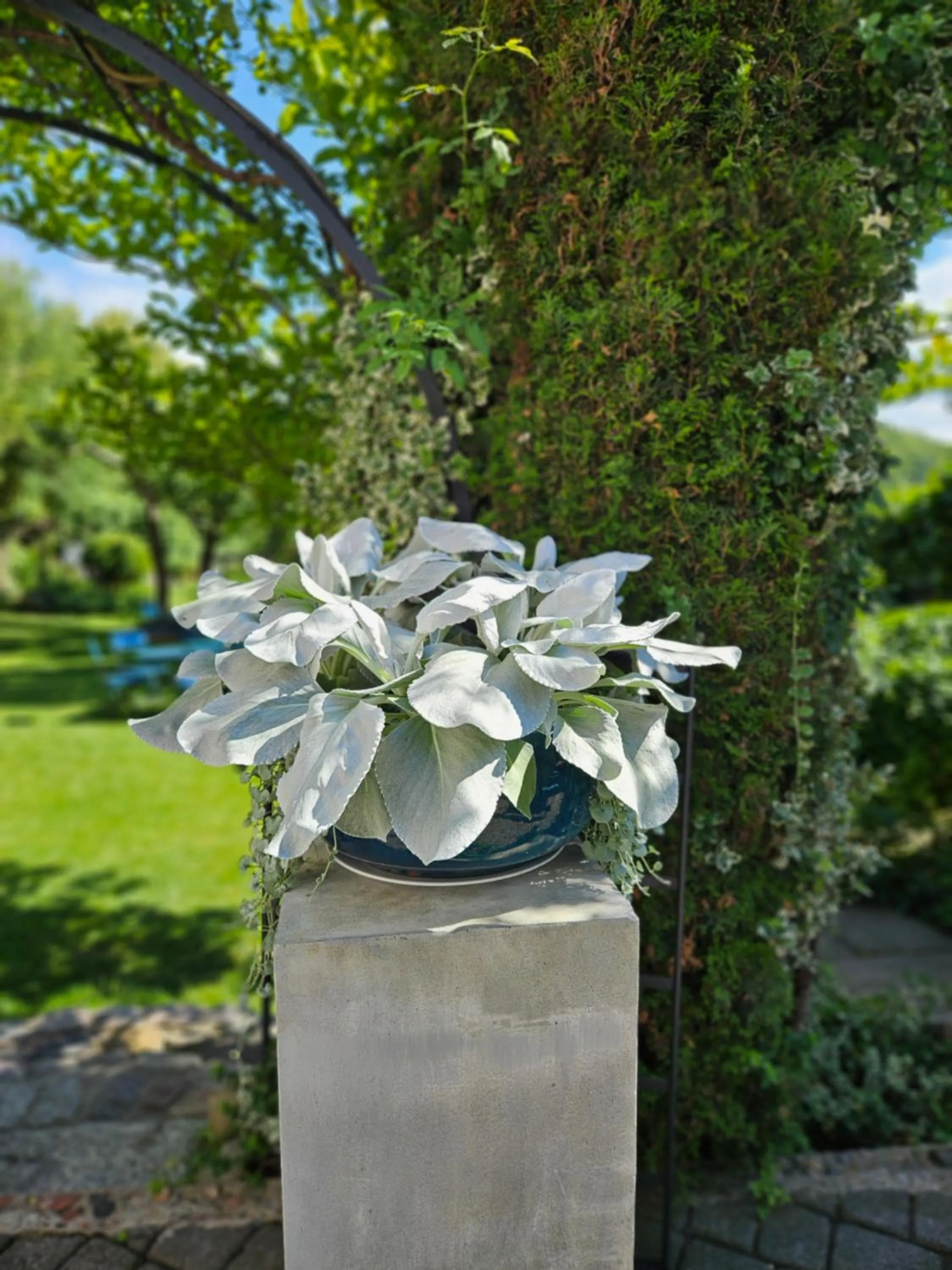 Garden in Hotel Marmułowski