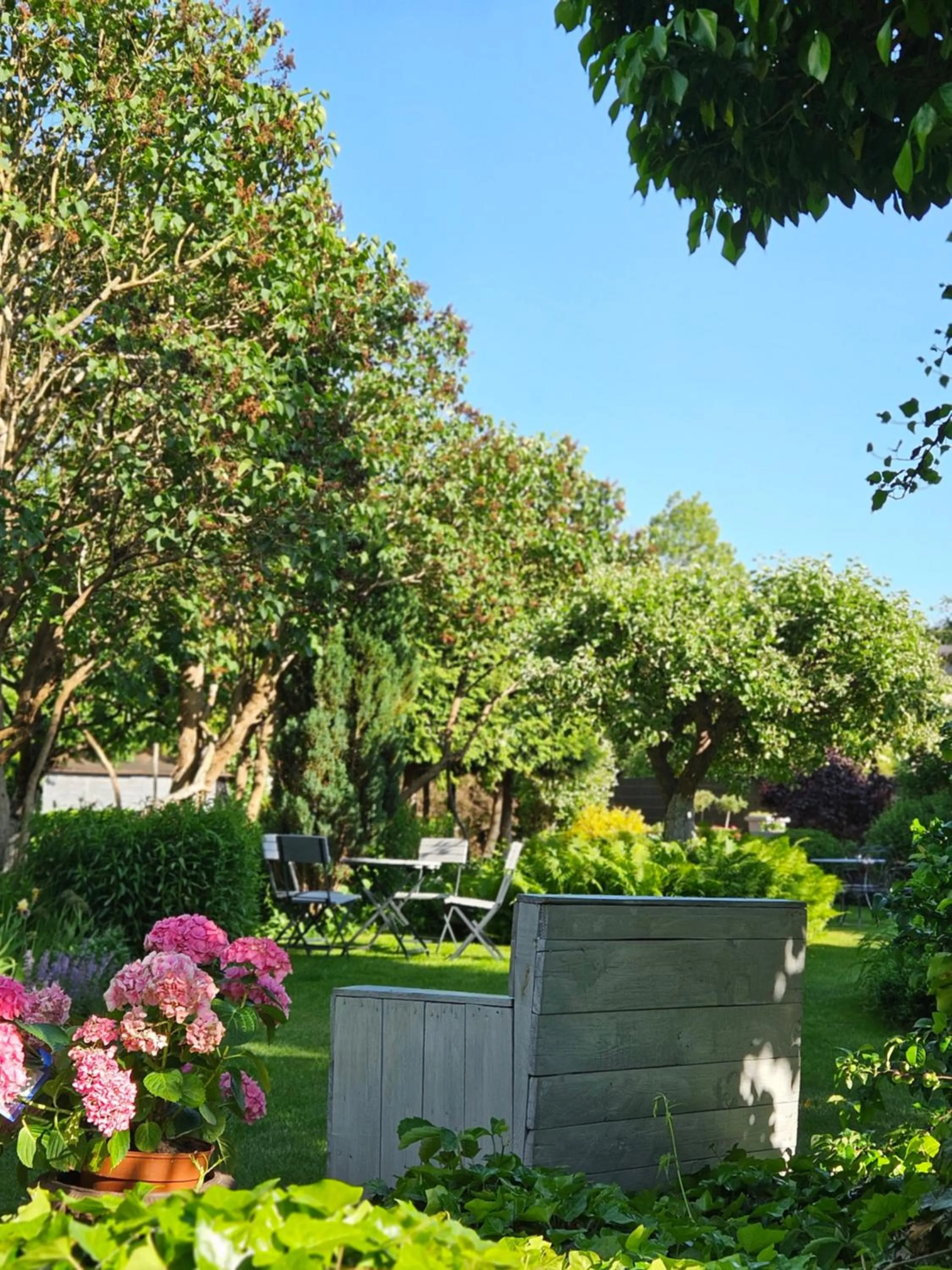 Garden in Hotel Marmułowski